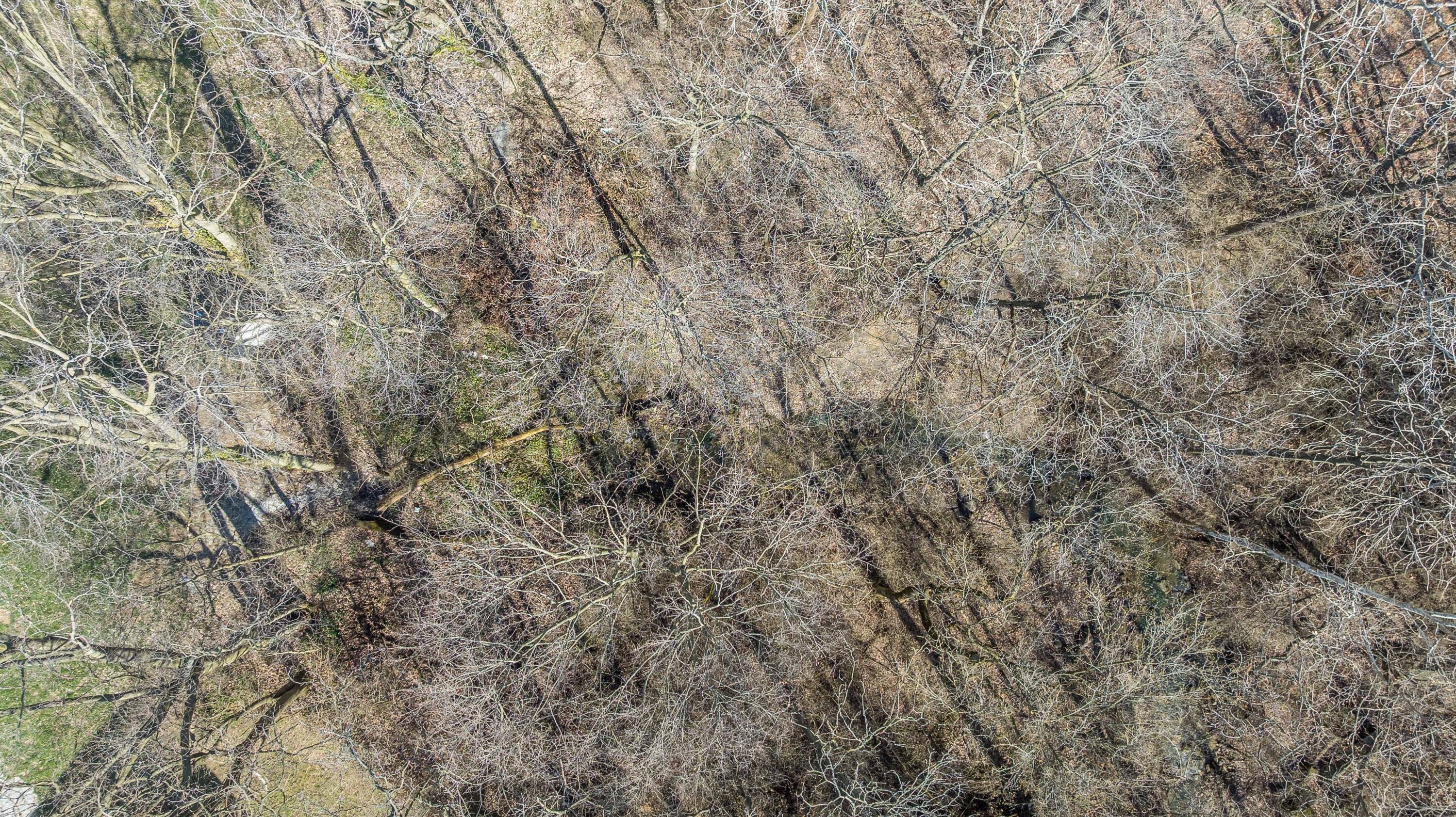 359 Main Street, Piqua, Ohio 45356