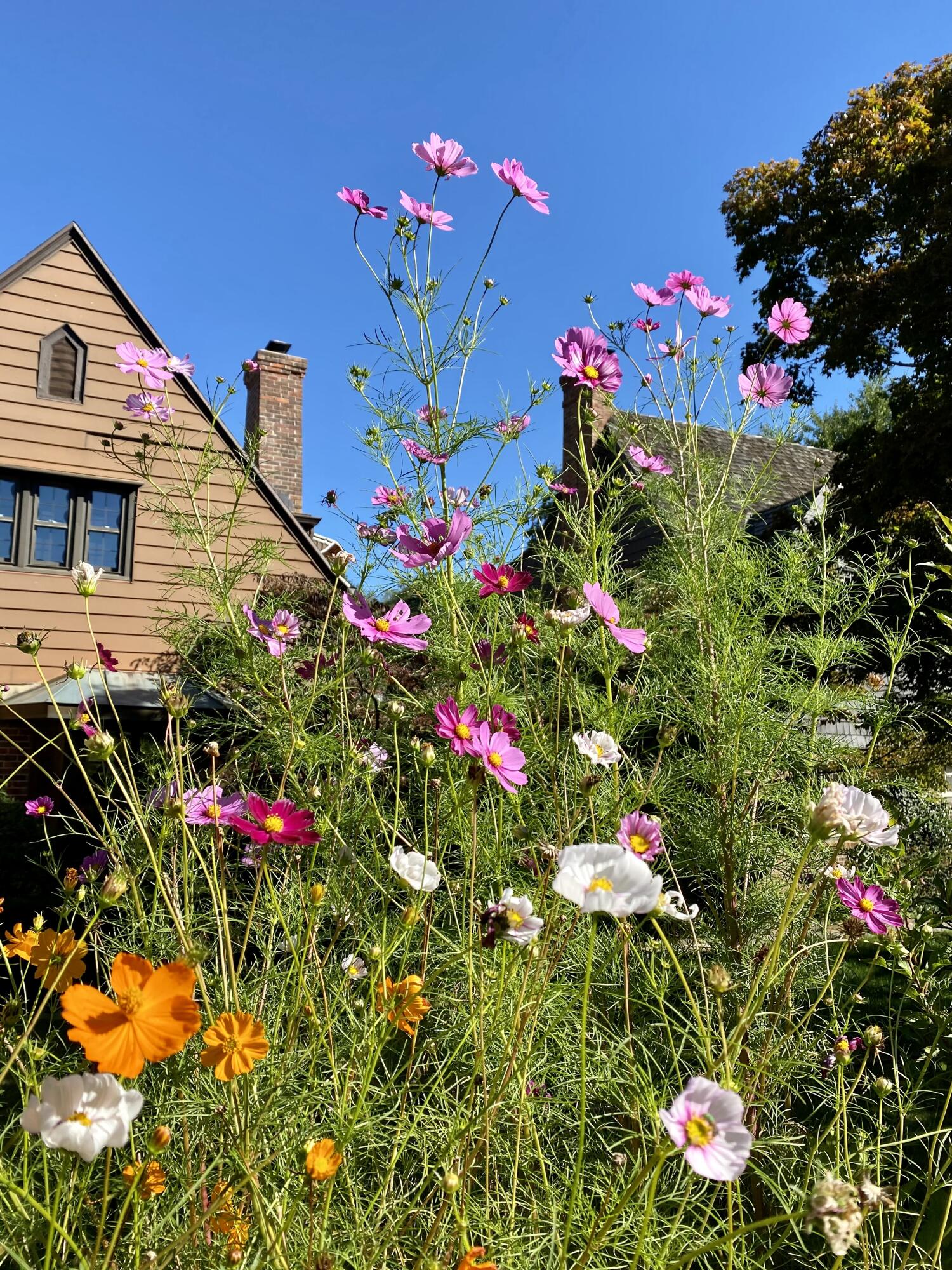 735 Tanglewood Drive, Springfield, Ohio 45504