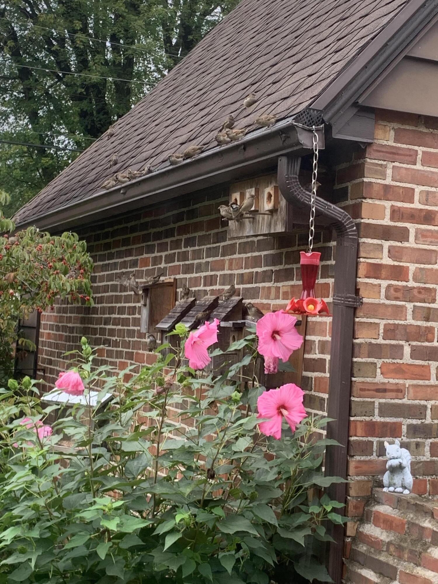 735 Tanglewood Drive, Springfield, Ohio 45504