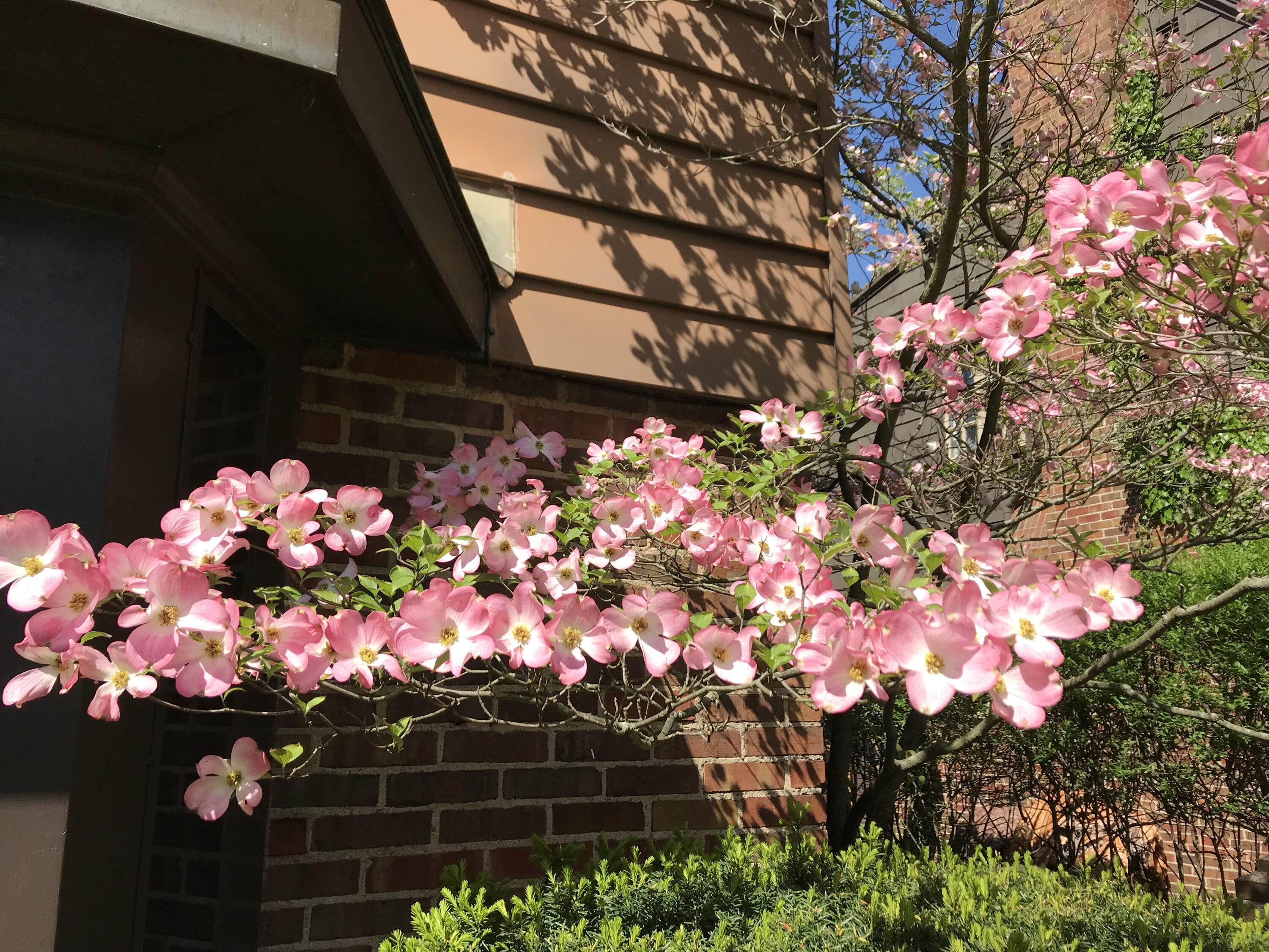 735 Tanglewood Drive, Springfield, Ohio 45504