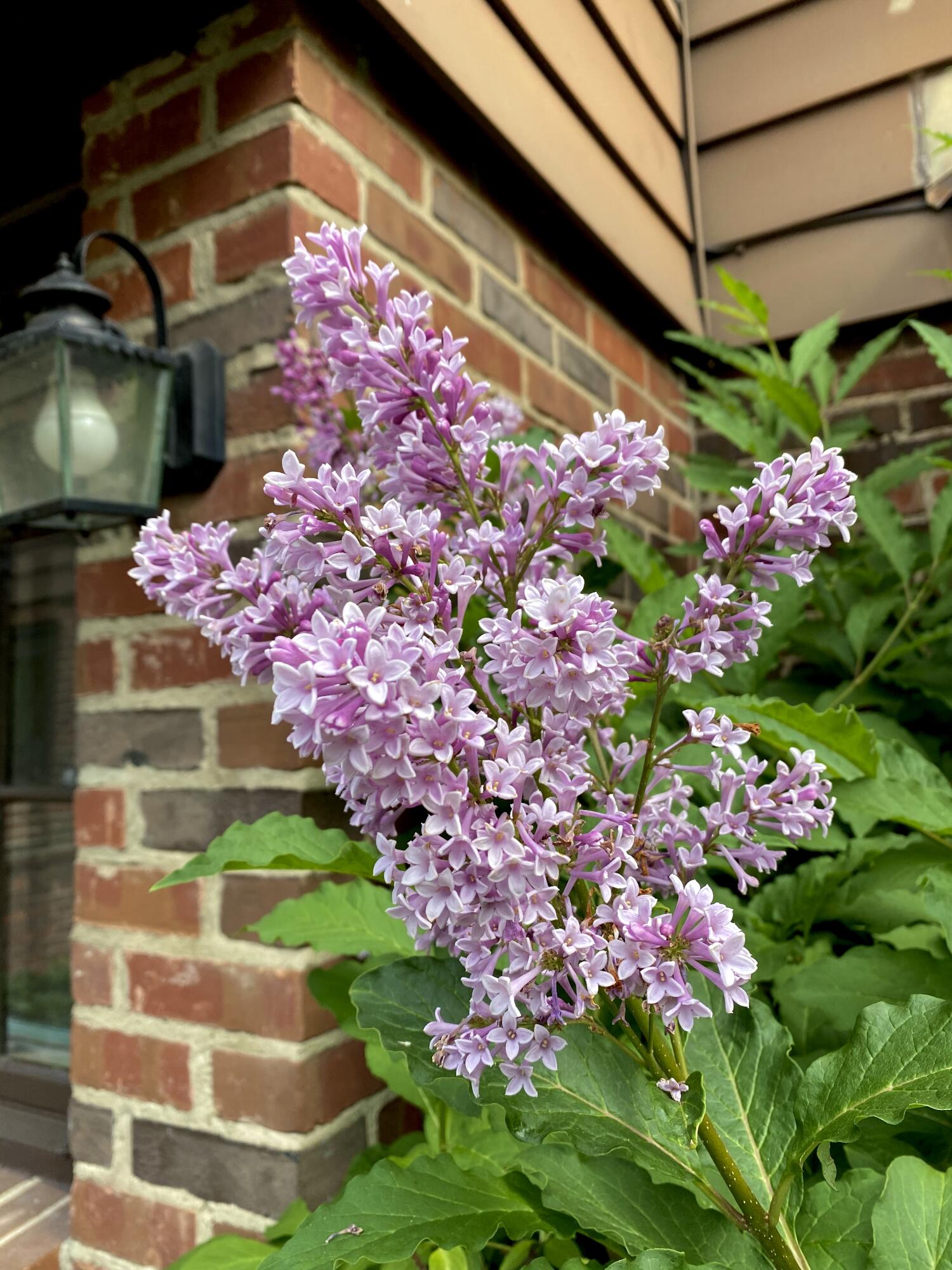 735 Tanglewood Drive, Springfield, Ohio 45504