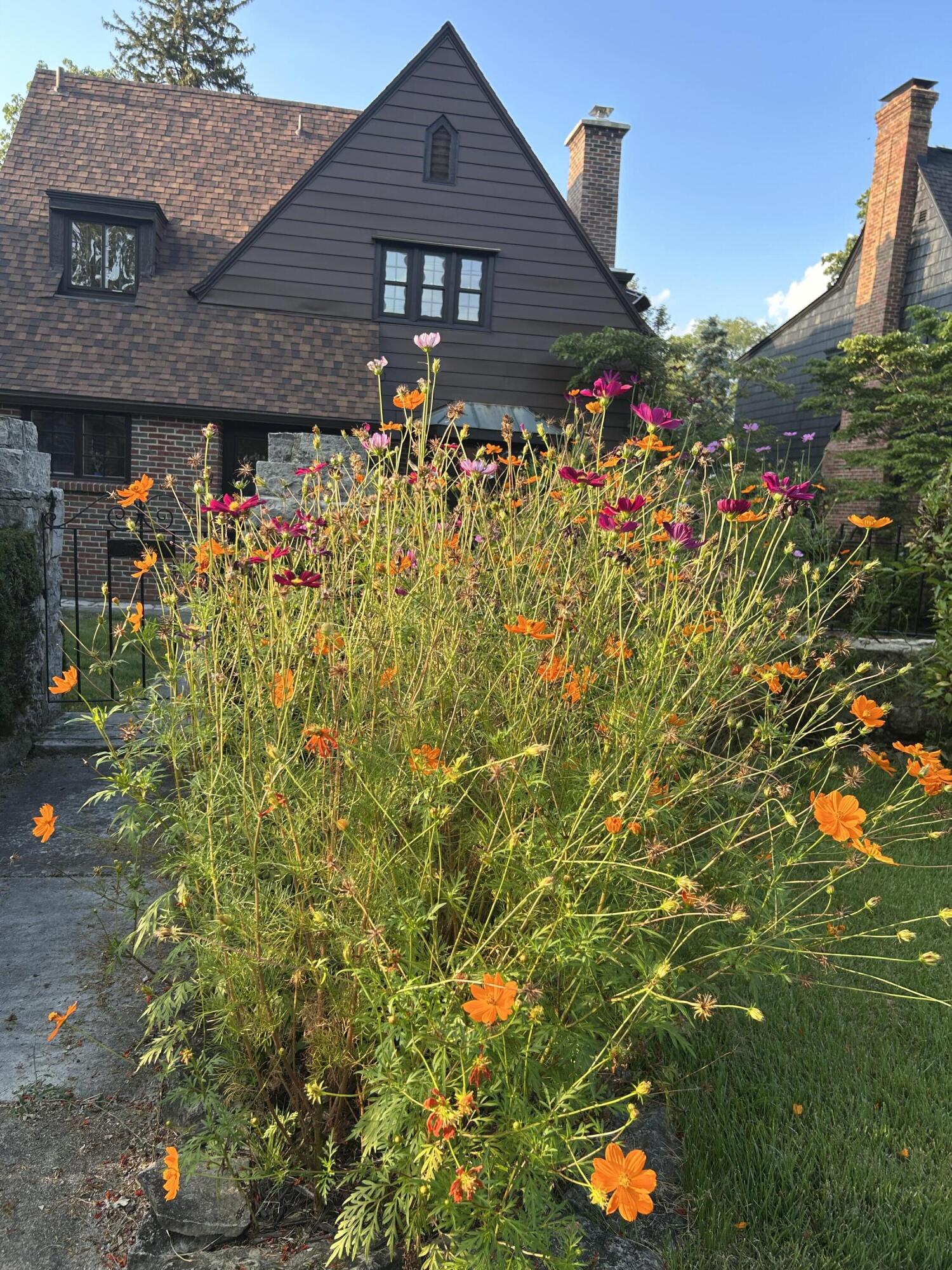 735 Tanglewood Drive, Springfield, Ohio 45504