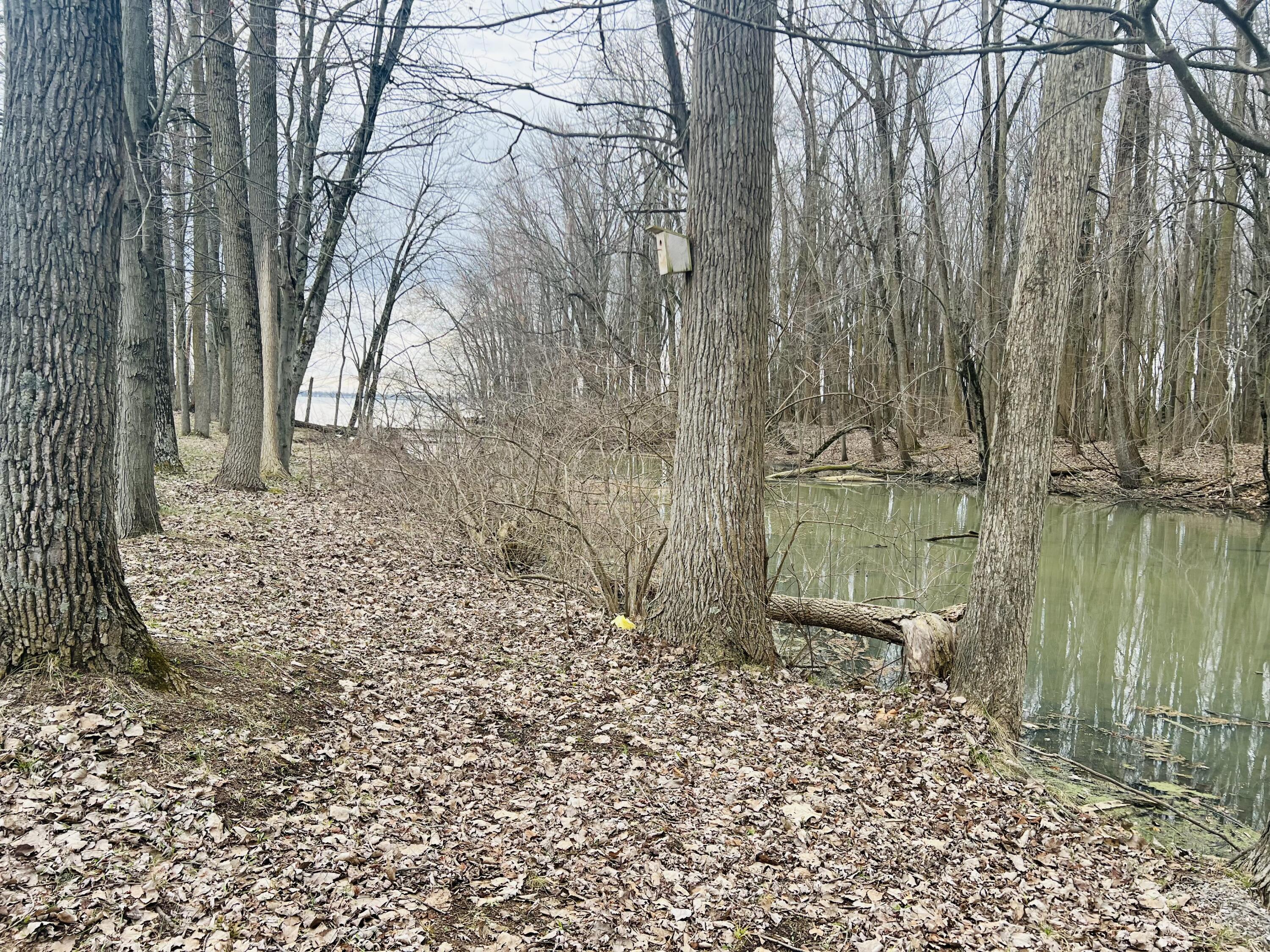 10950 Cherokee Drive, Lakeview, Ohio 43331