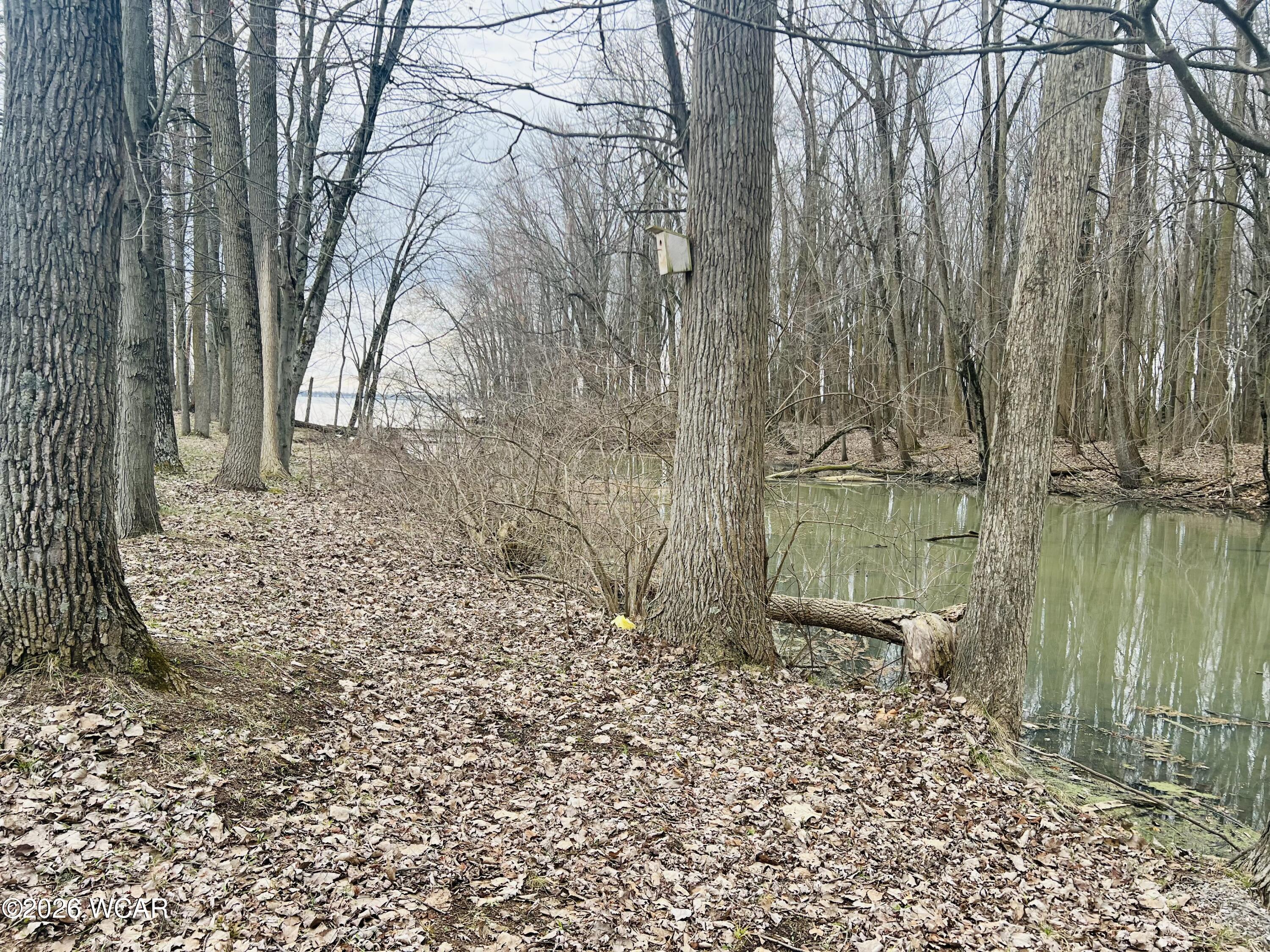 10950 Cherokee Drive, Lakeview, Ohio