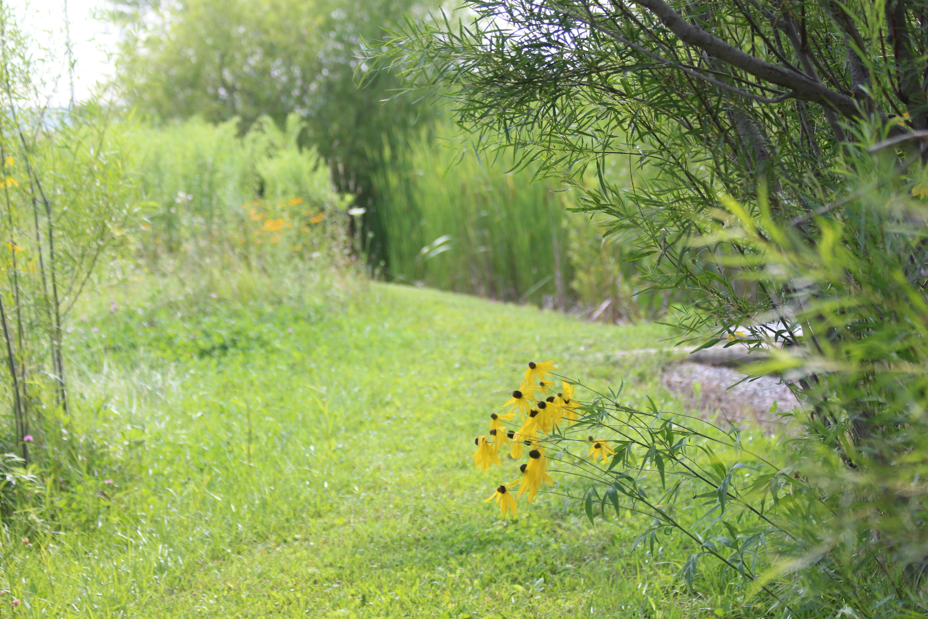 9660 County Road 66a, New Bremen, Ohio 45869