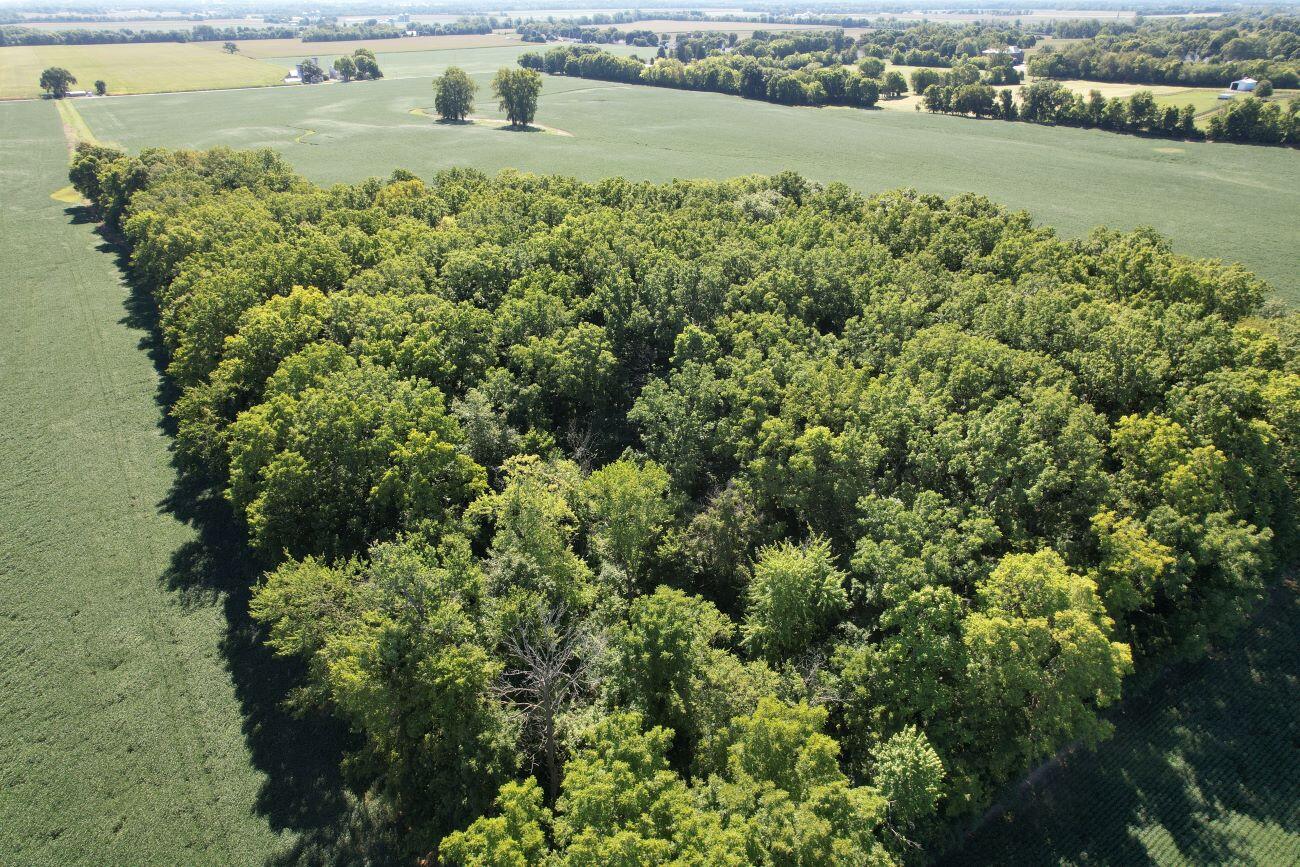 297 State Route 560, Urbana, Ohio 43078