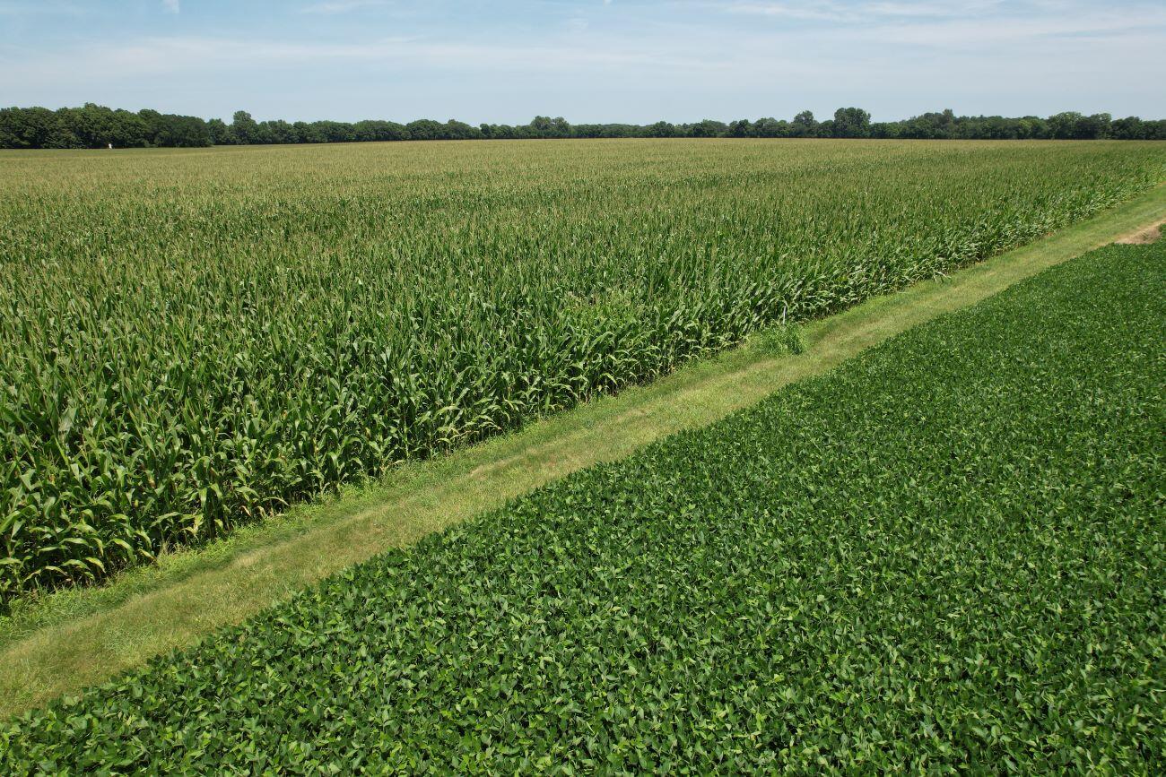 297 State Route 560, Urbana, Ohio 43078