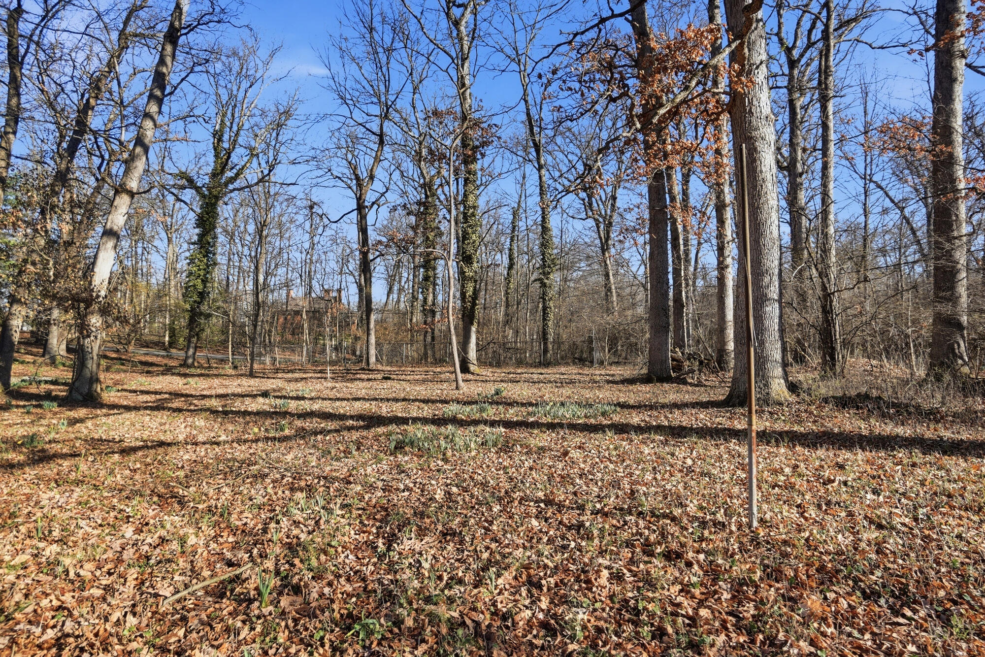 2438 Signal Hill Road, Springfield, Ohio 45504