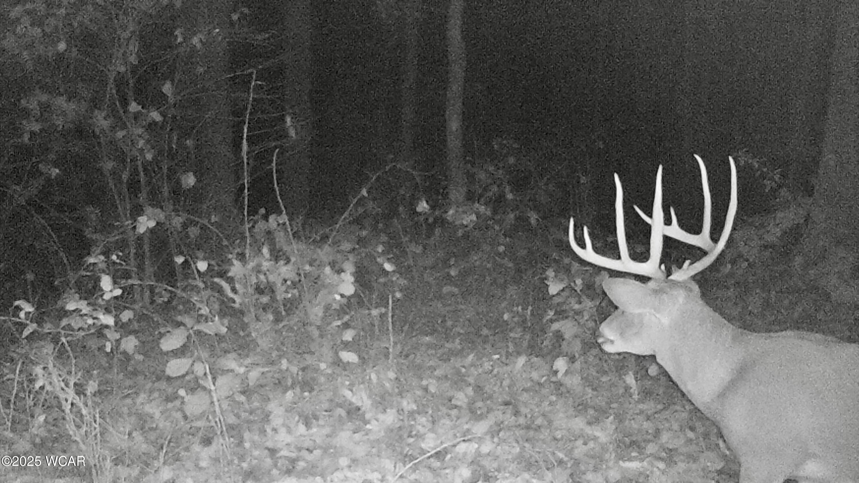 32120 Fout Road, Londonderry, Ohio