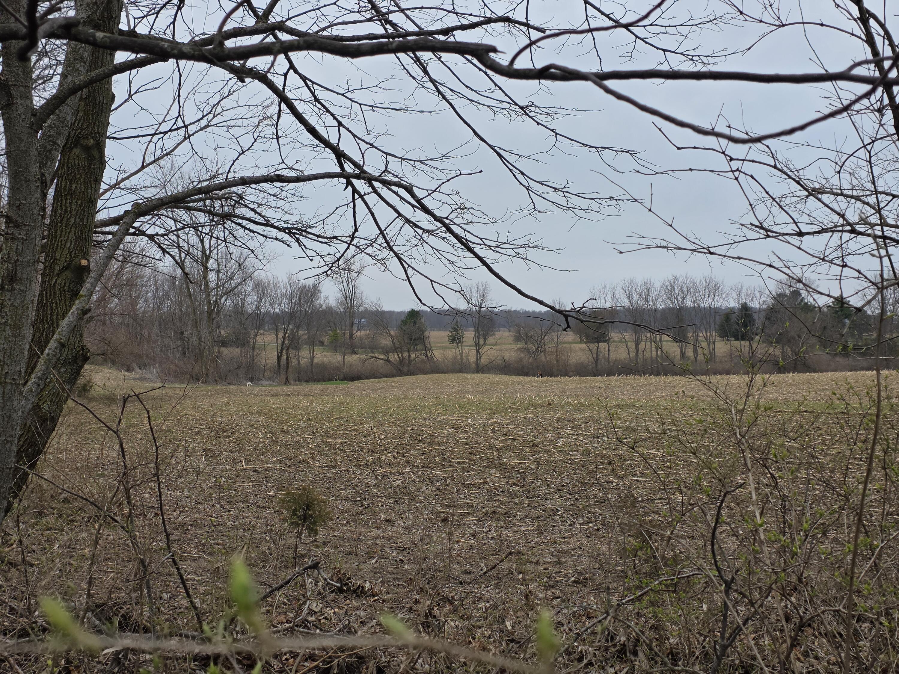 5217 Millerstown E Road, Urbana, Ohio 43078