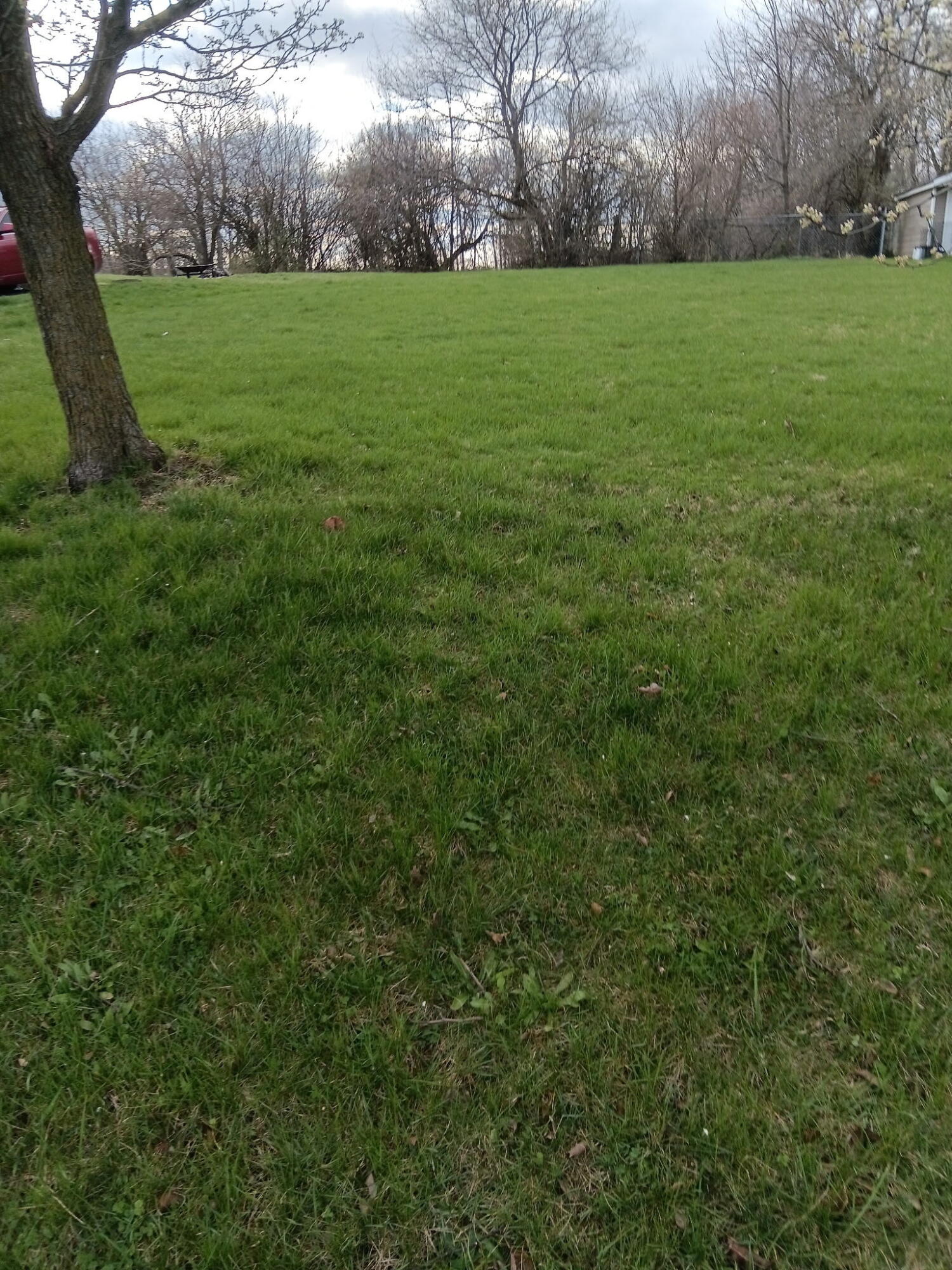 0 Montgomery Avenue, Springfield, Ohio 45506