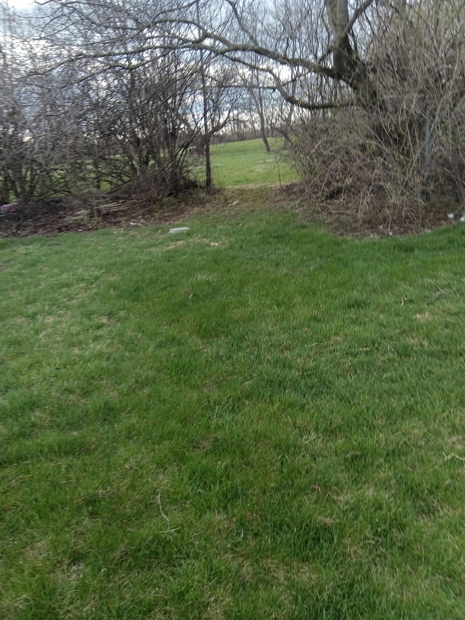 0 Montgomery Avenue, Springfield, Ohio 45506