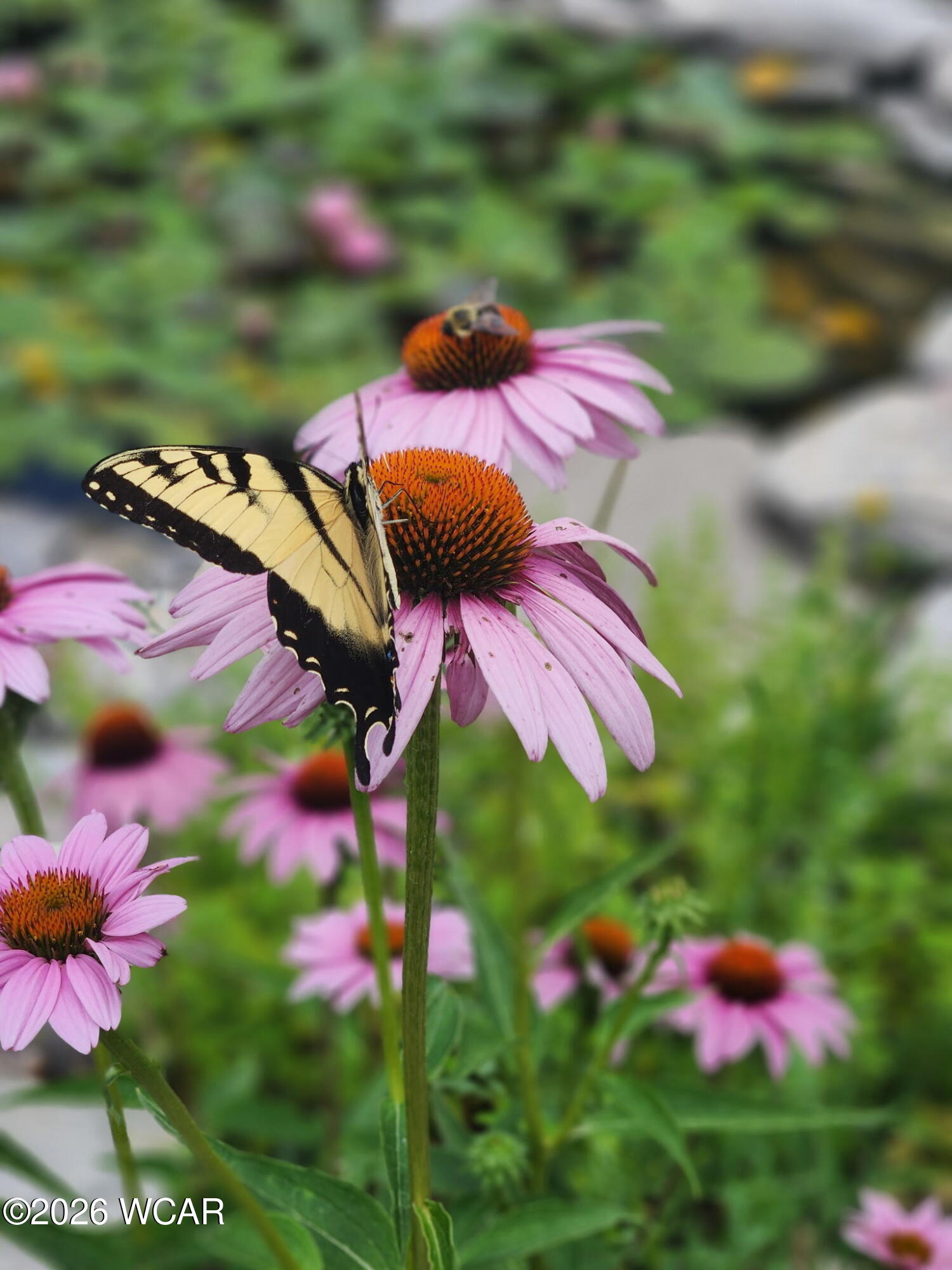 15338 Township Road 195, Kenton, Ohio