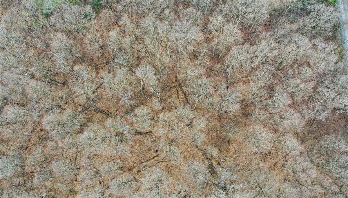 0 Township Hwy 181, Bellefontaine, Ohio 43311