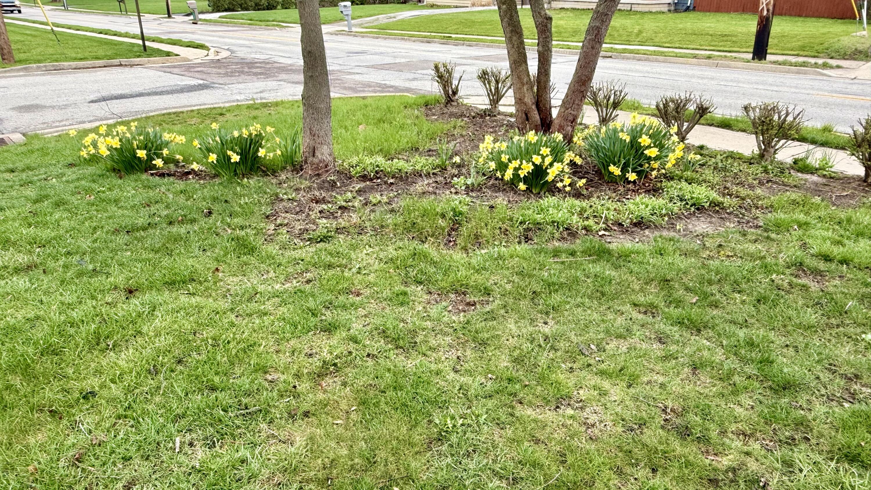 2 Orchard Drive, Piqua, Ohio 45356