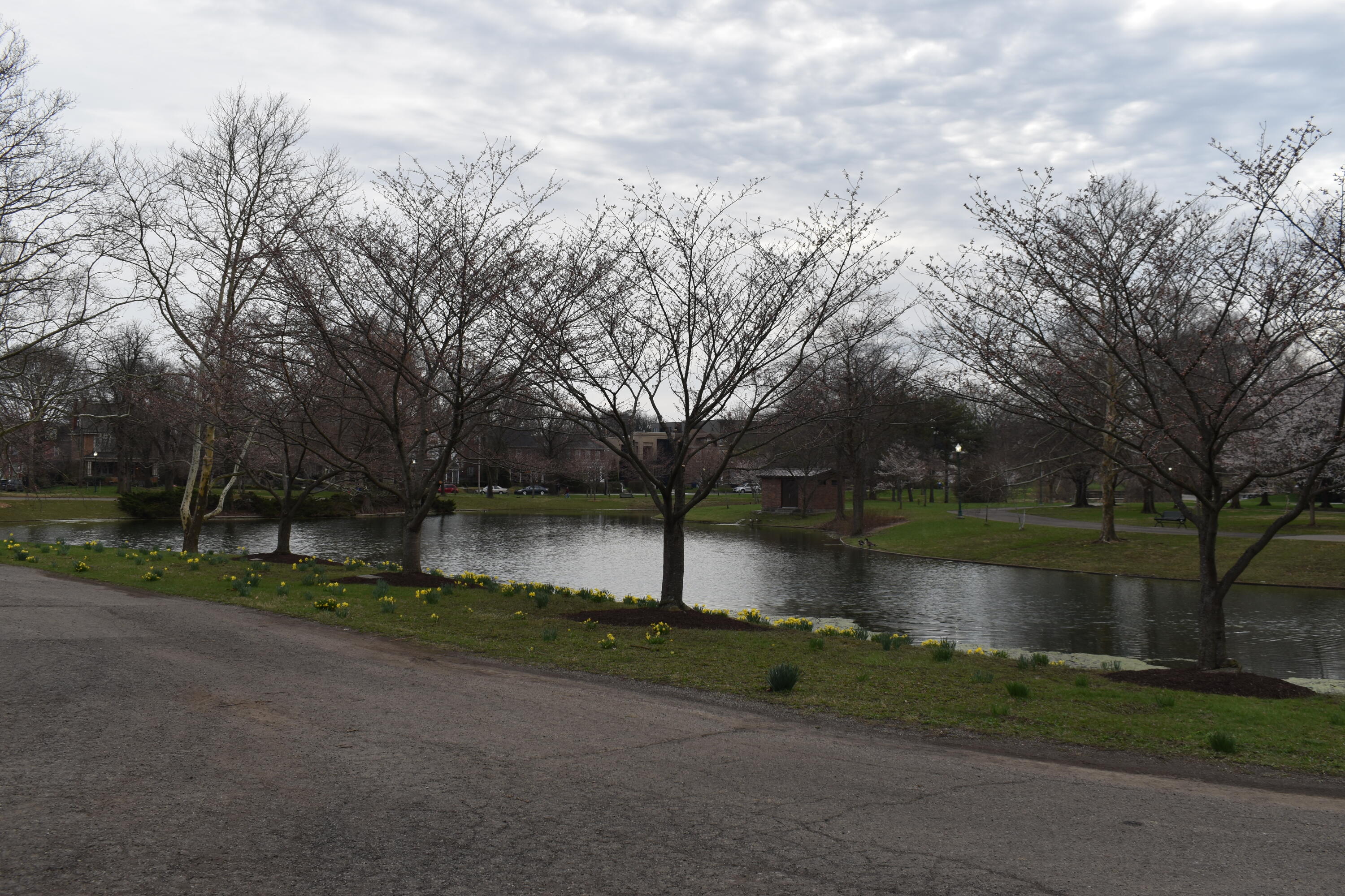 1815 Franklin Park, Columbus, Ohio 43205