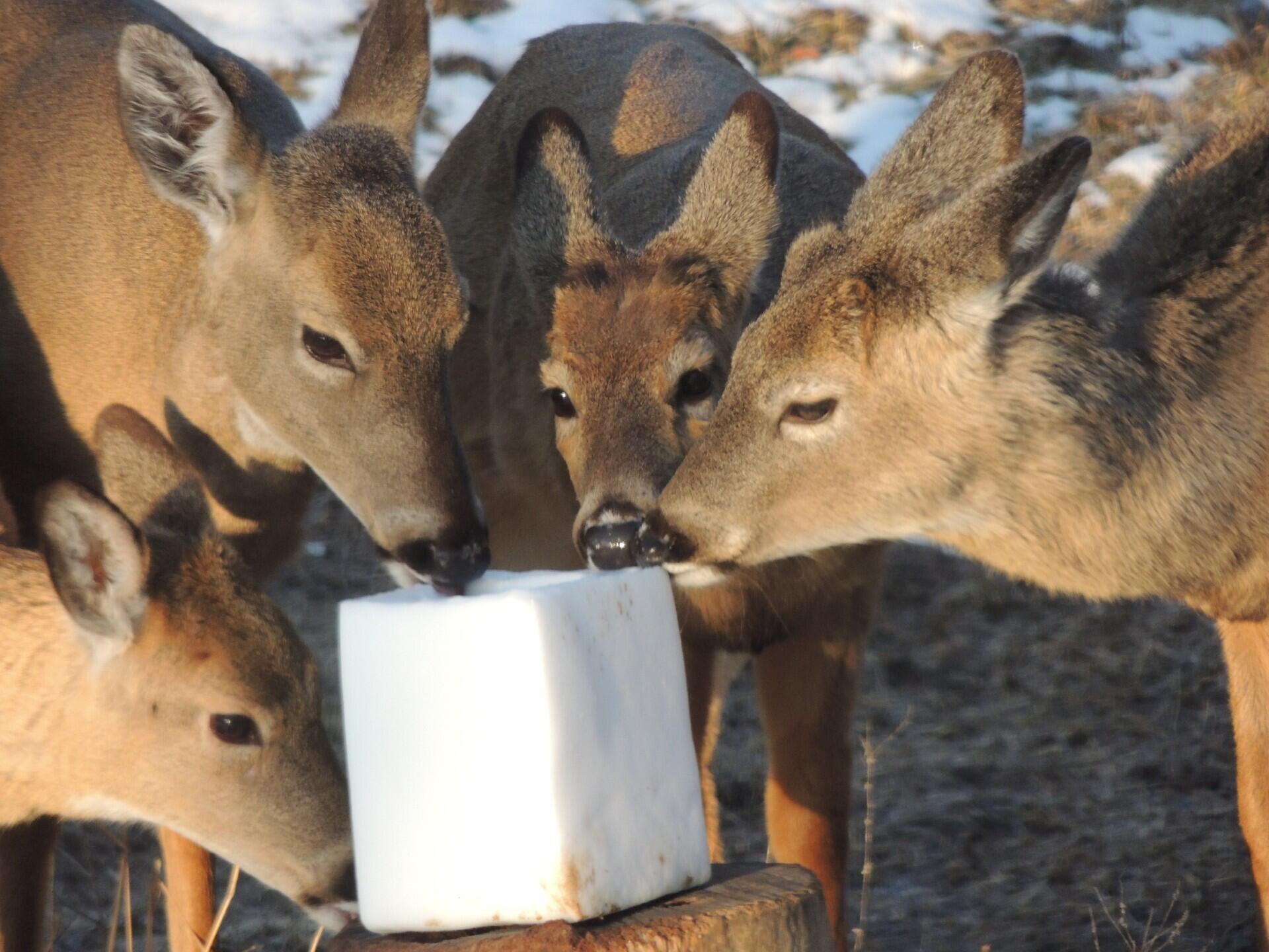 4164 County Road 1, Bellefontaine, Ohio 43311