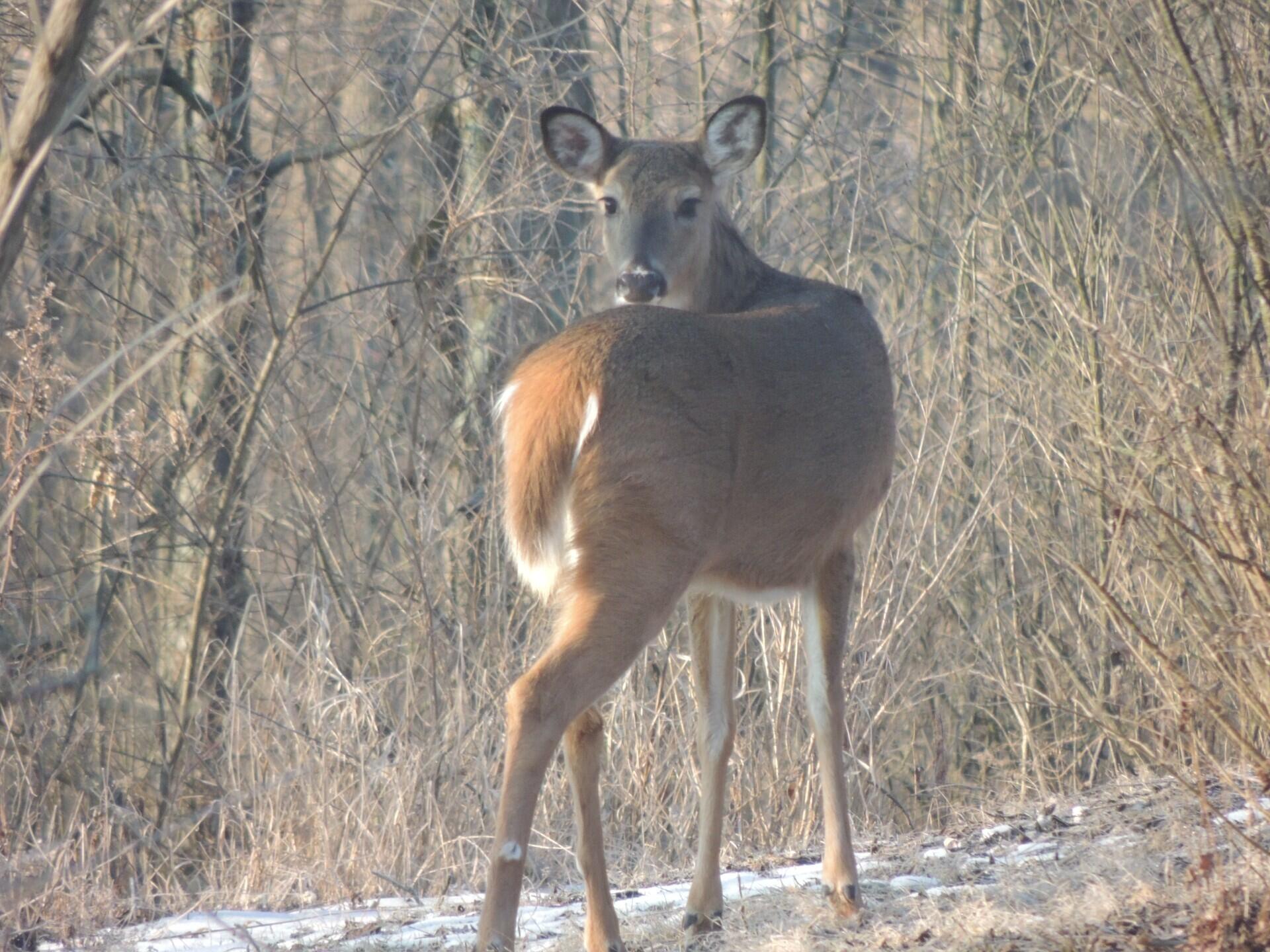 4164 County Road 1, Bellefontaine, Ohio 43311