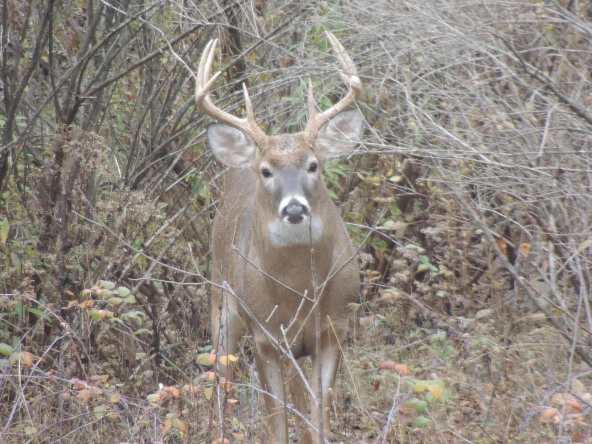 4164 County Road 1, Bellefontaine, Ohio 43311