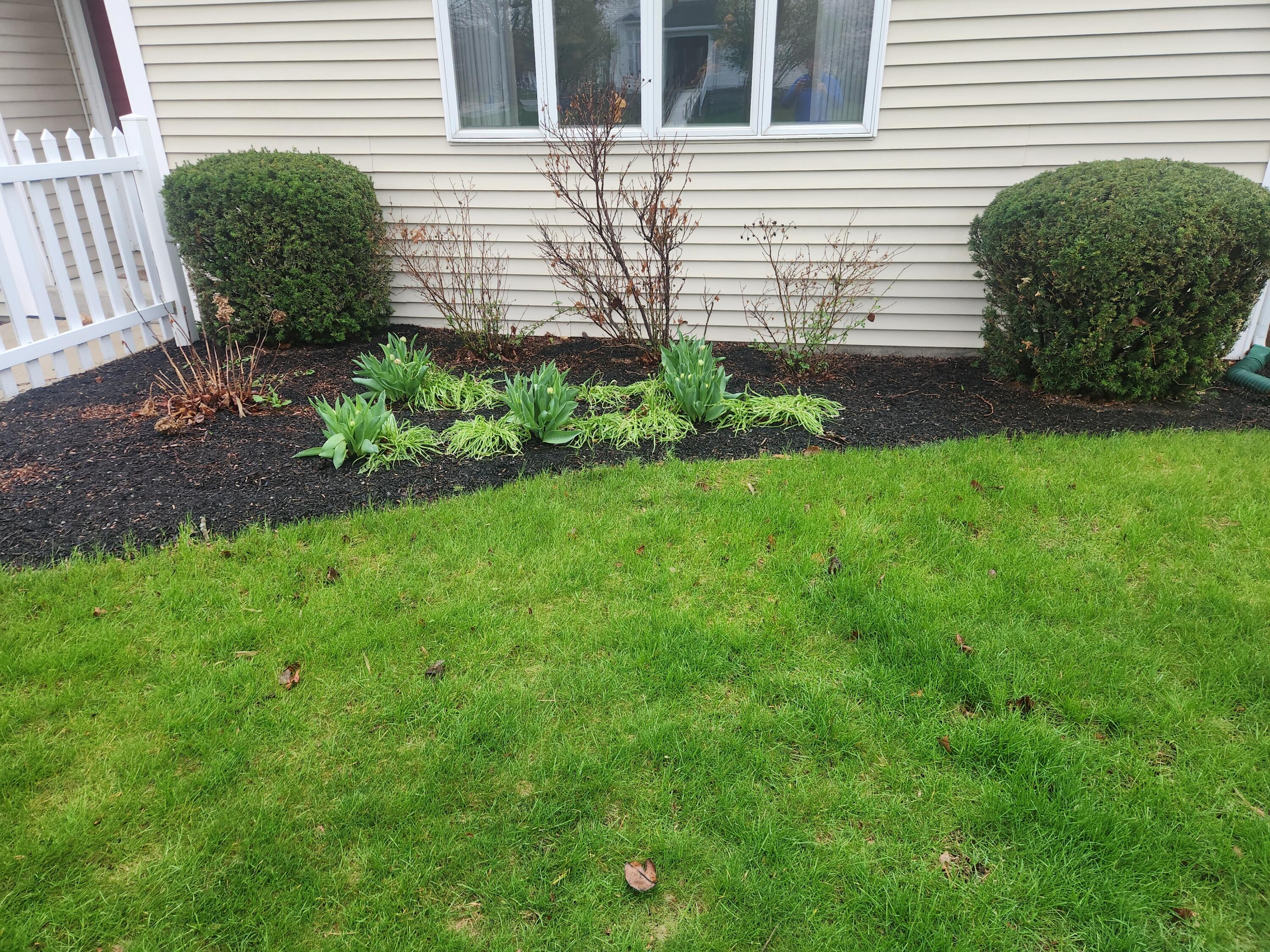 205 South Street, Saint Marys, Ohio 45885