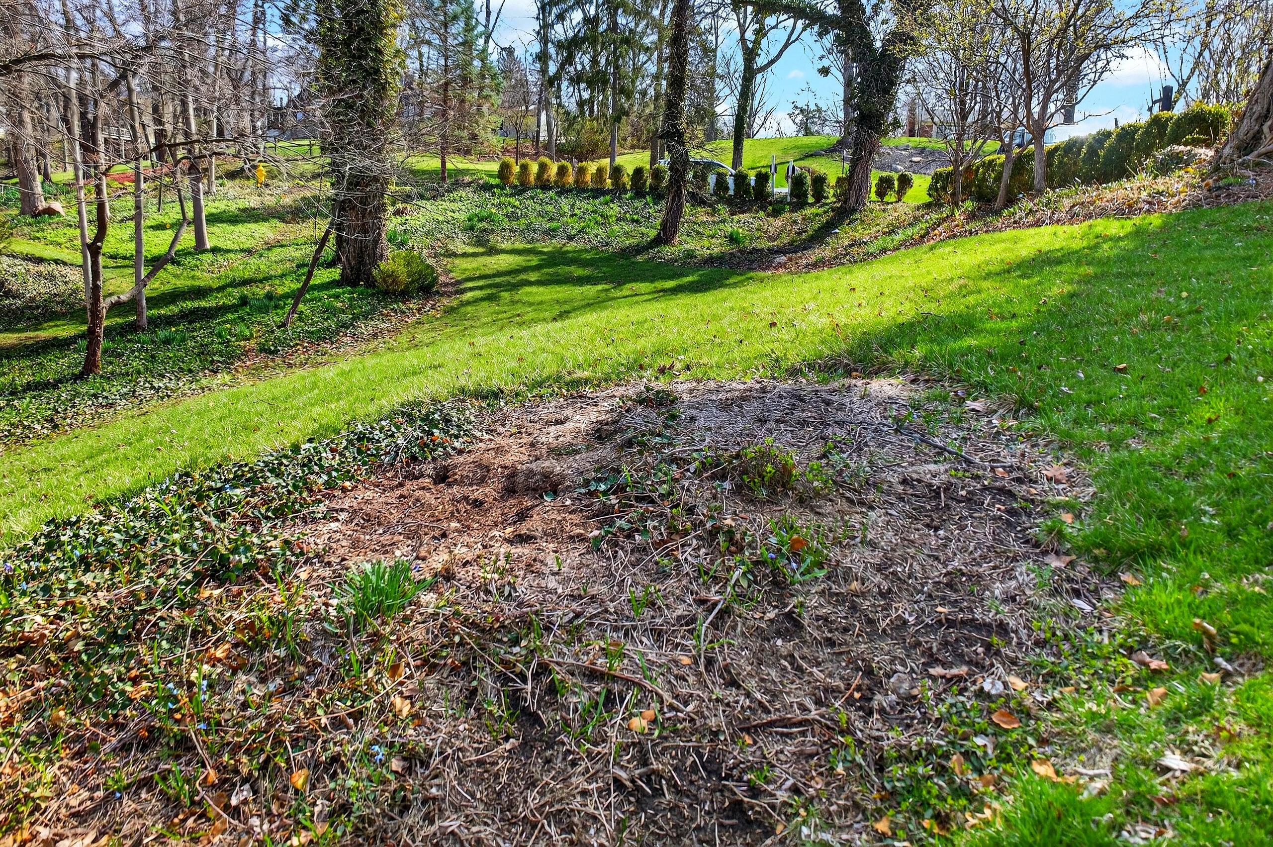 1115 Oakwood Avenue, Oakwood, Ohio 45419