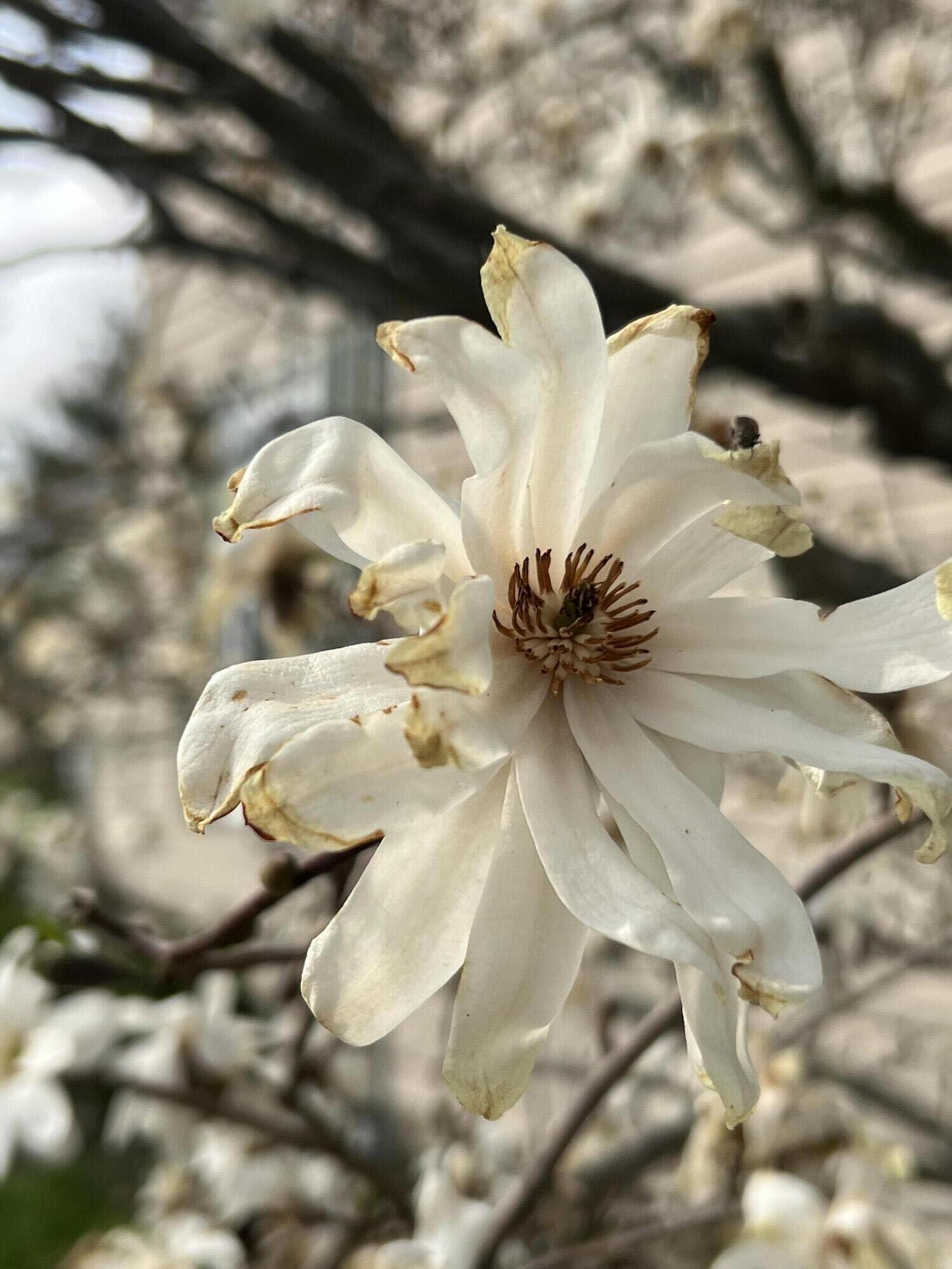 2636 Sandusky Street, Zanesfield, Ohio 43360