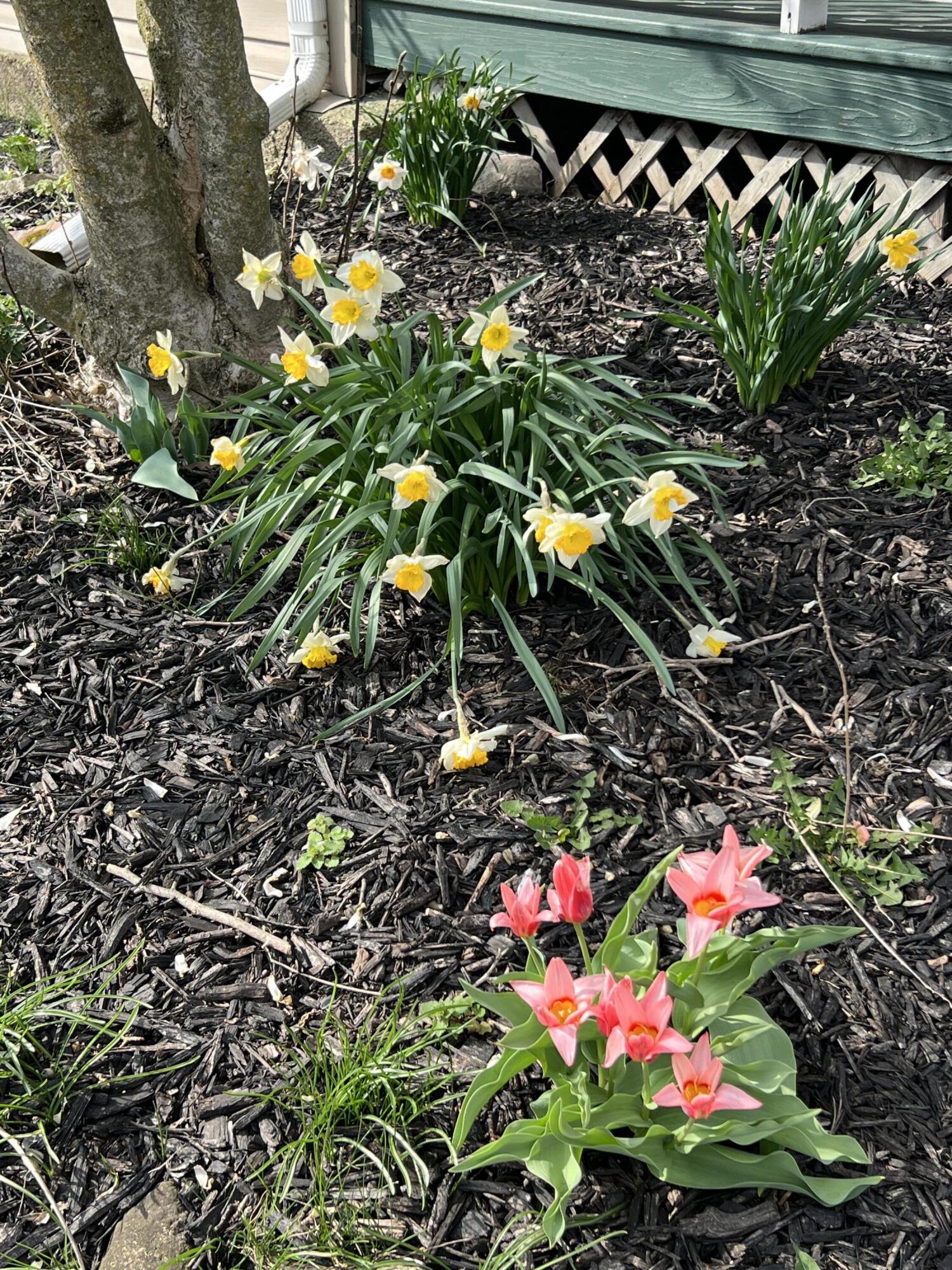 2636 Sandusky Street, Zanesfield, Ohio 43360