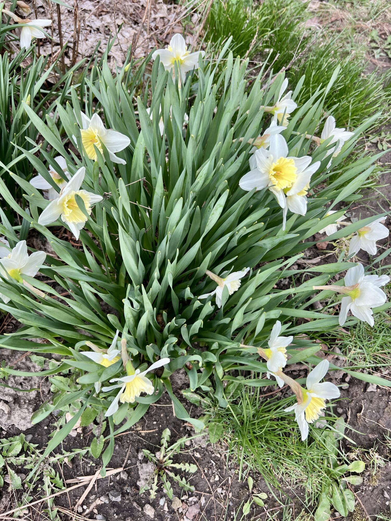 2636 Sandusky Street, Zanesfield, Ohio 43360