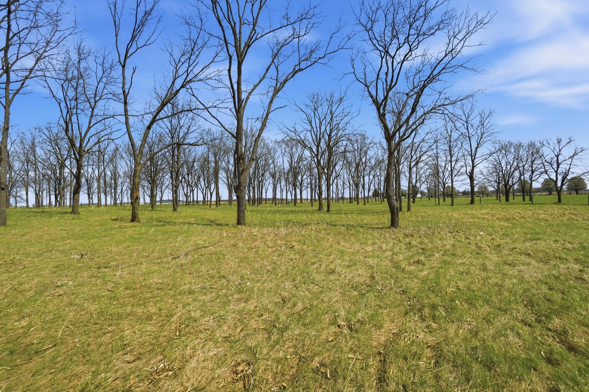 9035 Alcony Conover Road, Conover, Ohio 45317