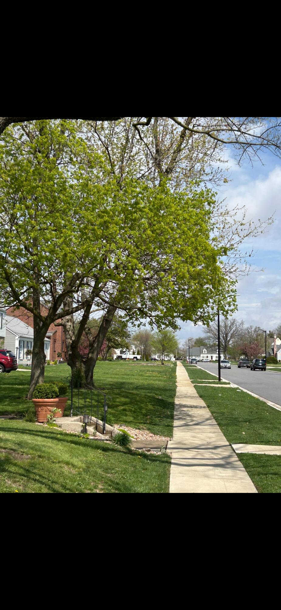 603 Ash Street, Celina, Ohio 45822