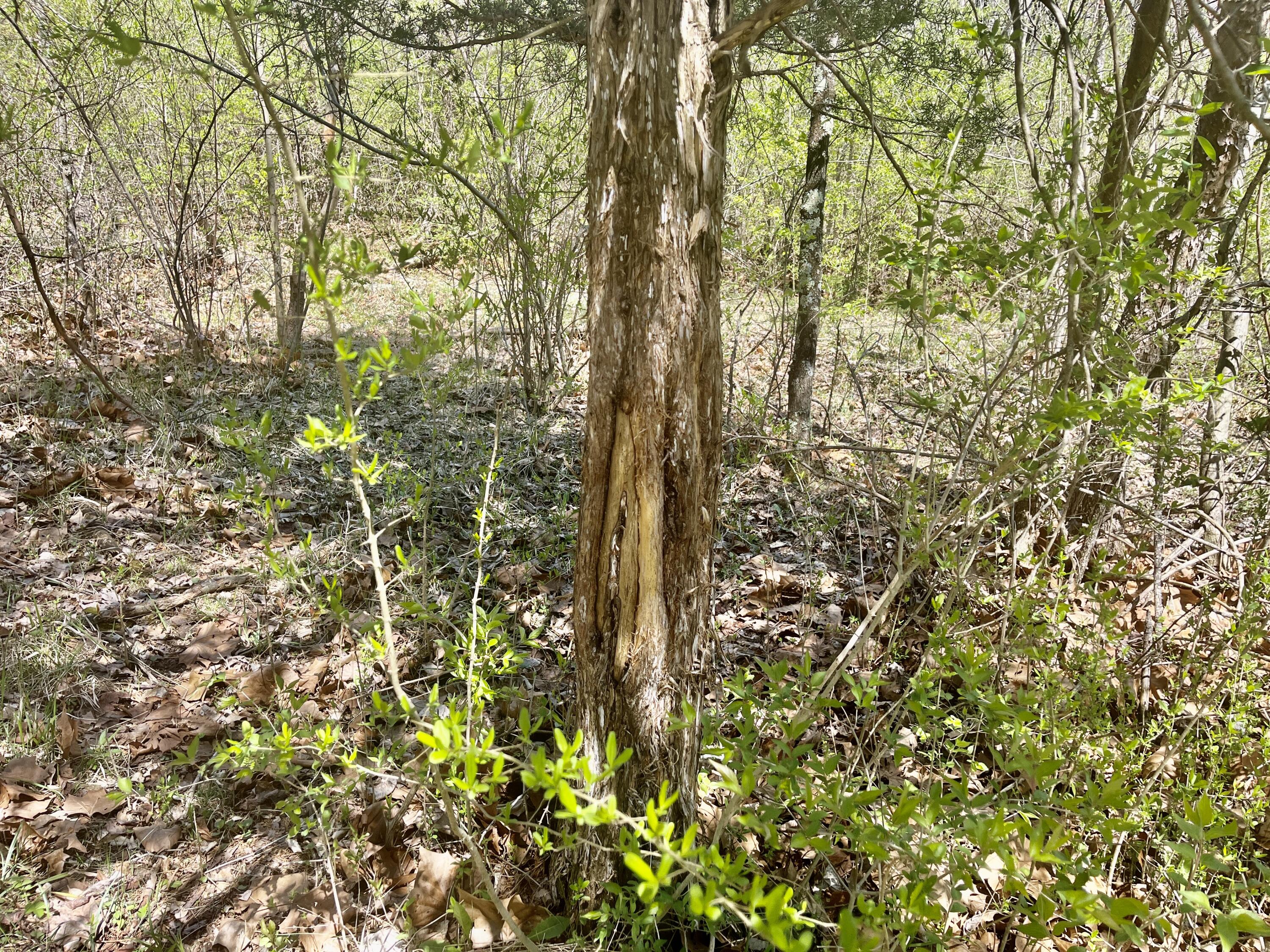 121 State, New Paris, Ohio 45347