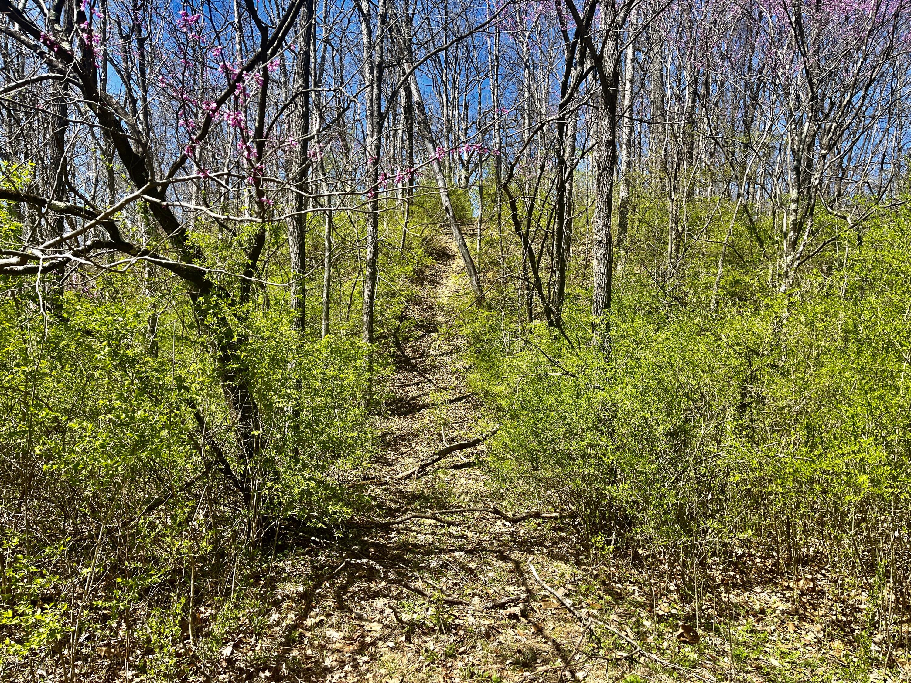 121 State, New Paris, Ohio 45347