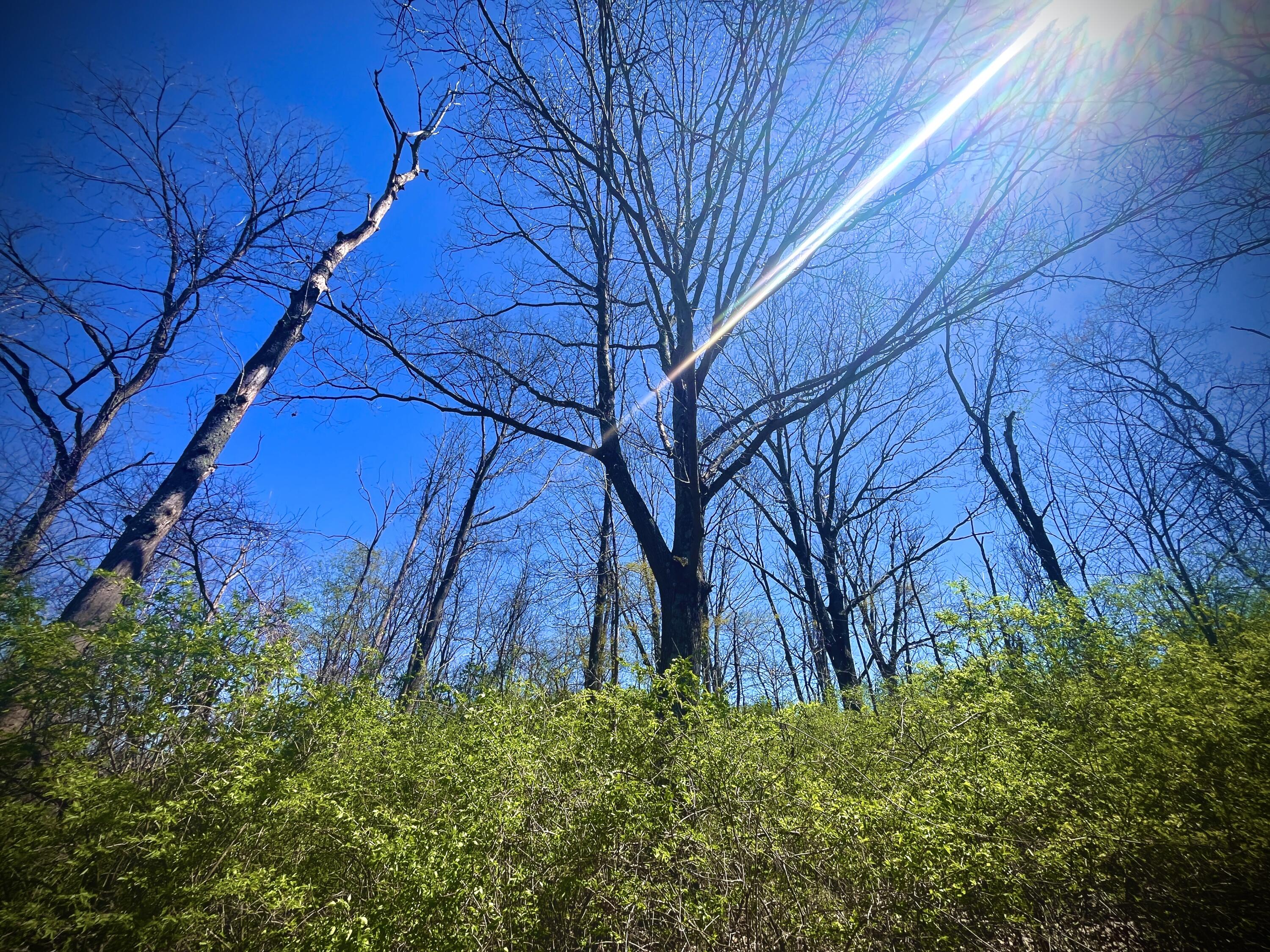 121 State, New Paris, Ohio 45347