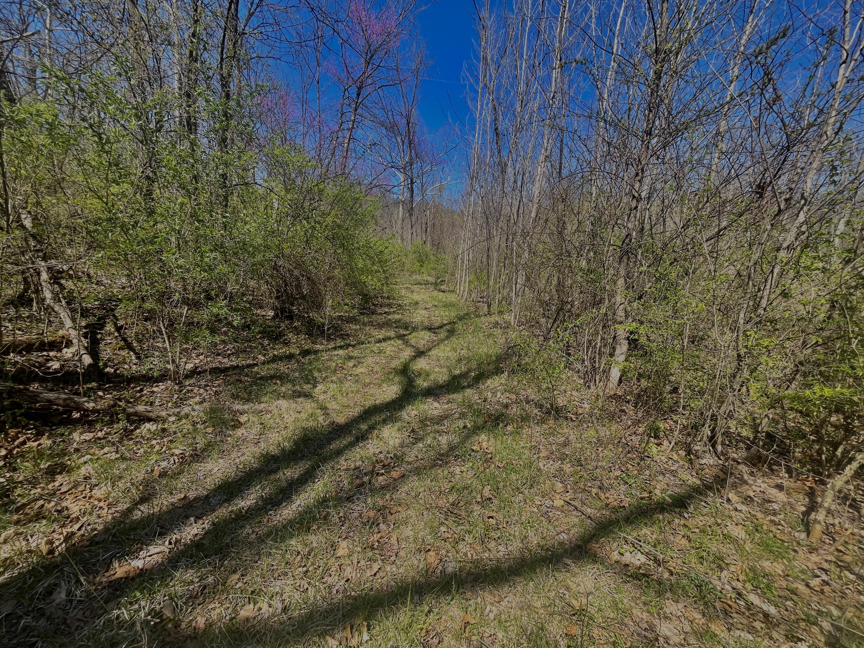 121 State, New Paris, Ohio 45347