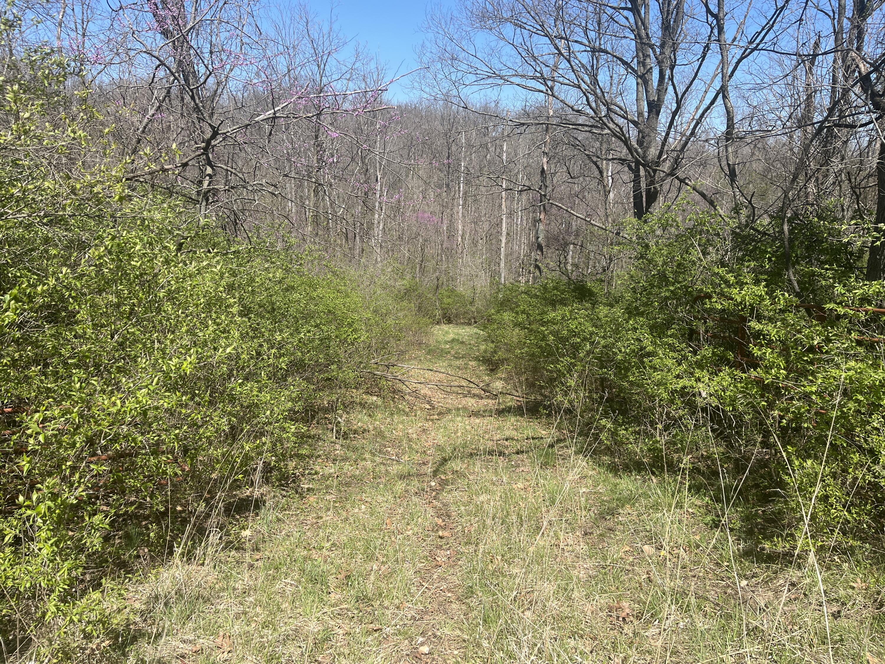 121 State, New Paris, Ohio 45347