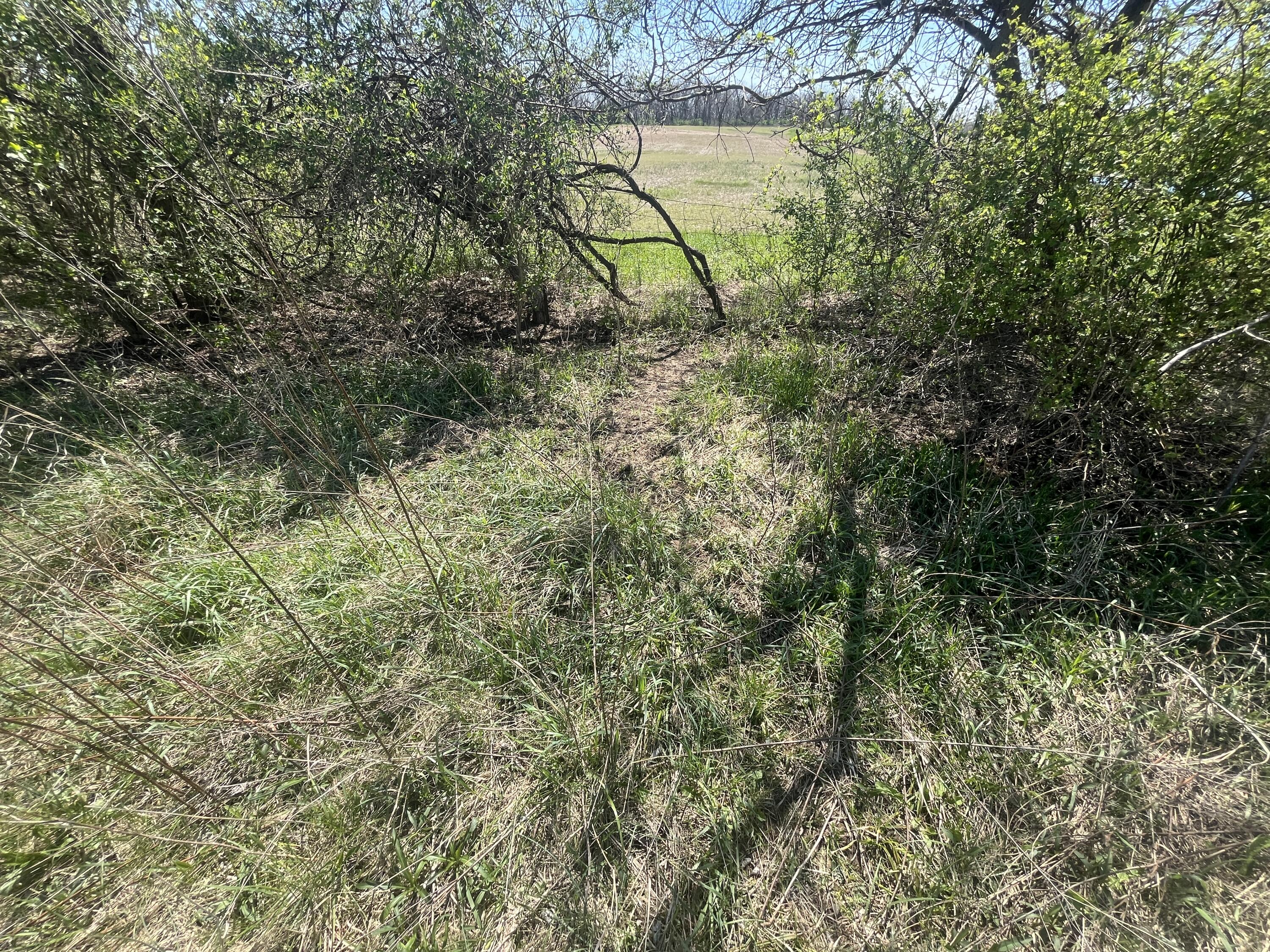 121 State, New Paris, Ohio 45347