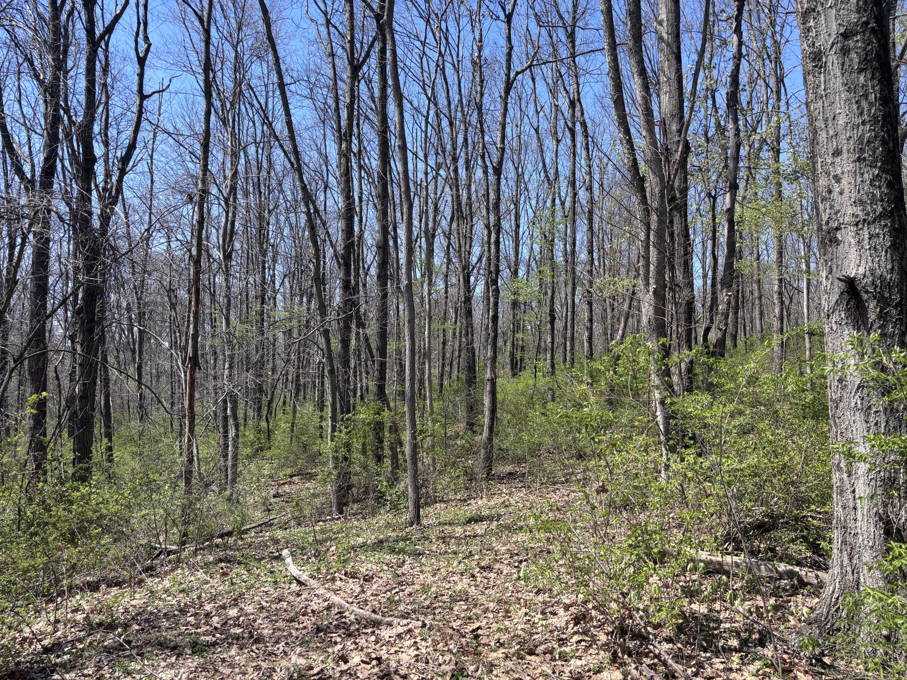 121 State, New Paris, Ohio 45347