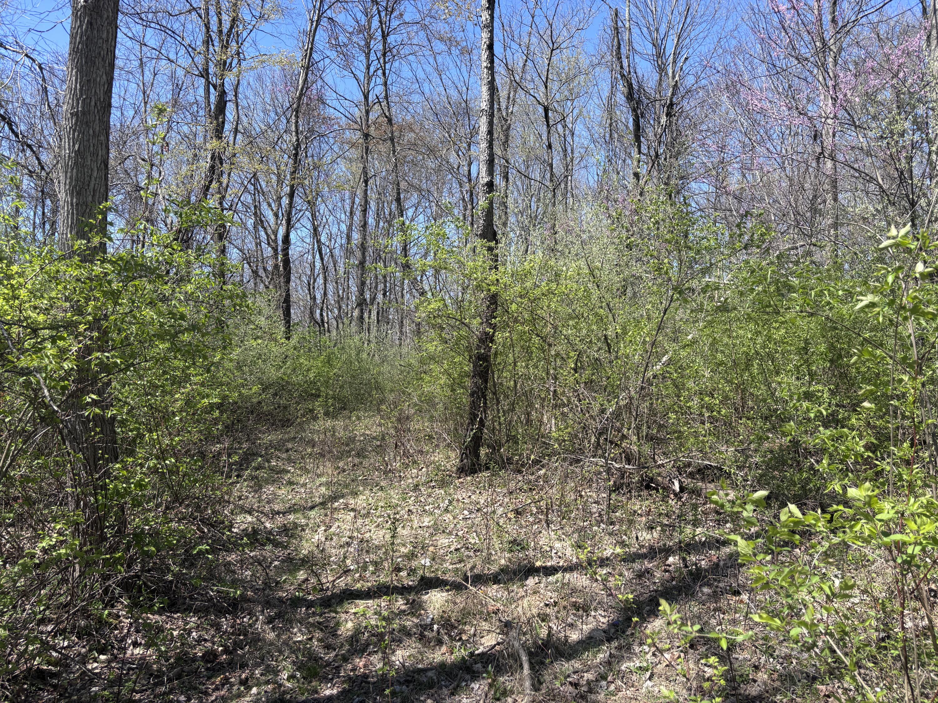 121 State, New Paris, Ohio 45347