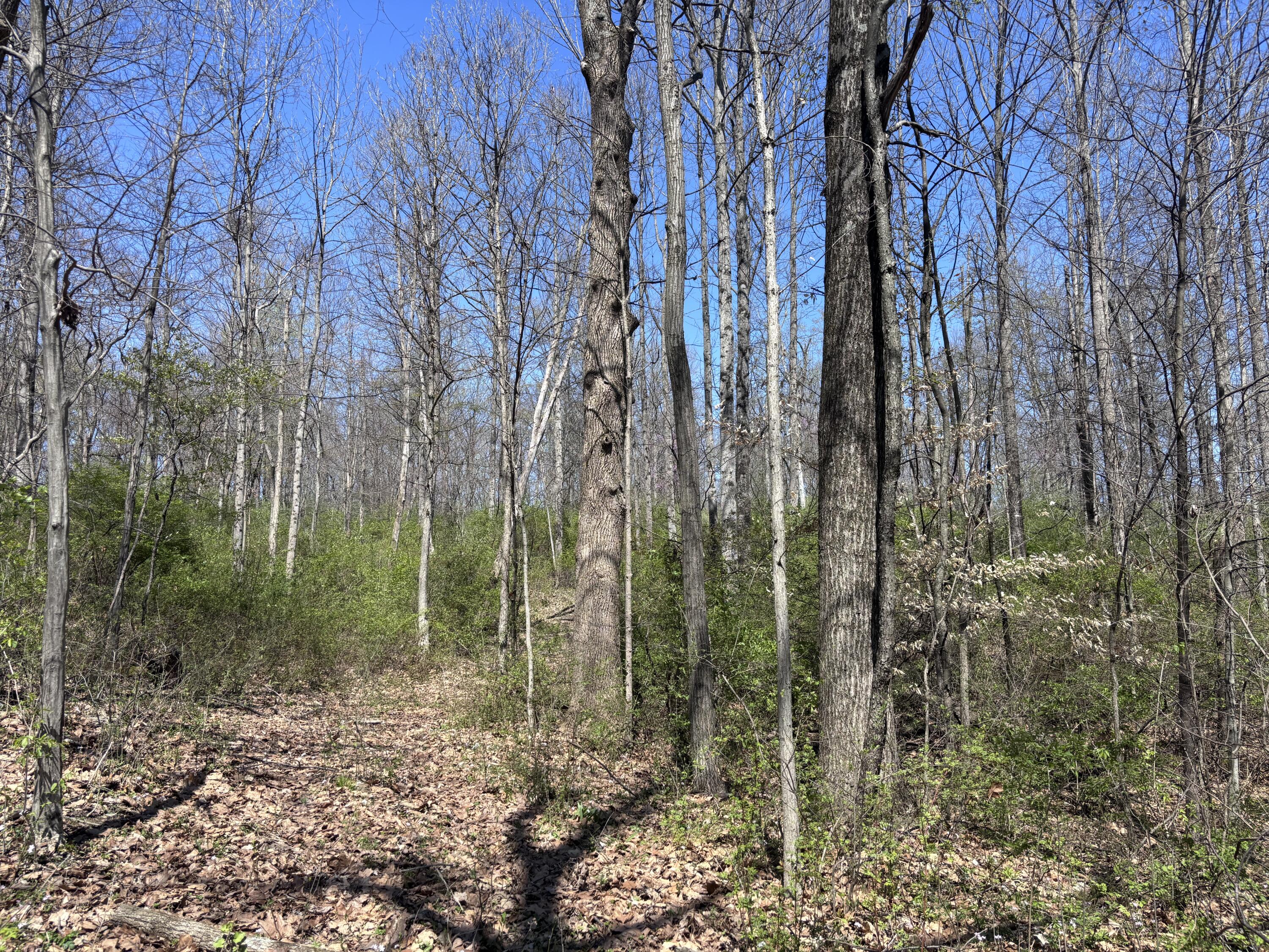 121 State, New Paris, Ohio 45347