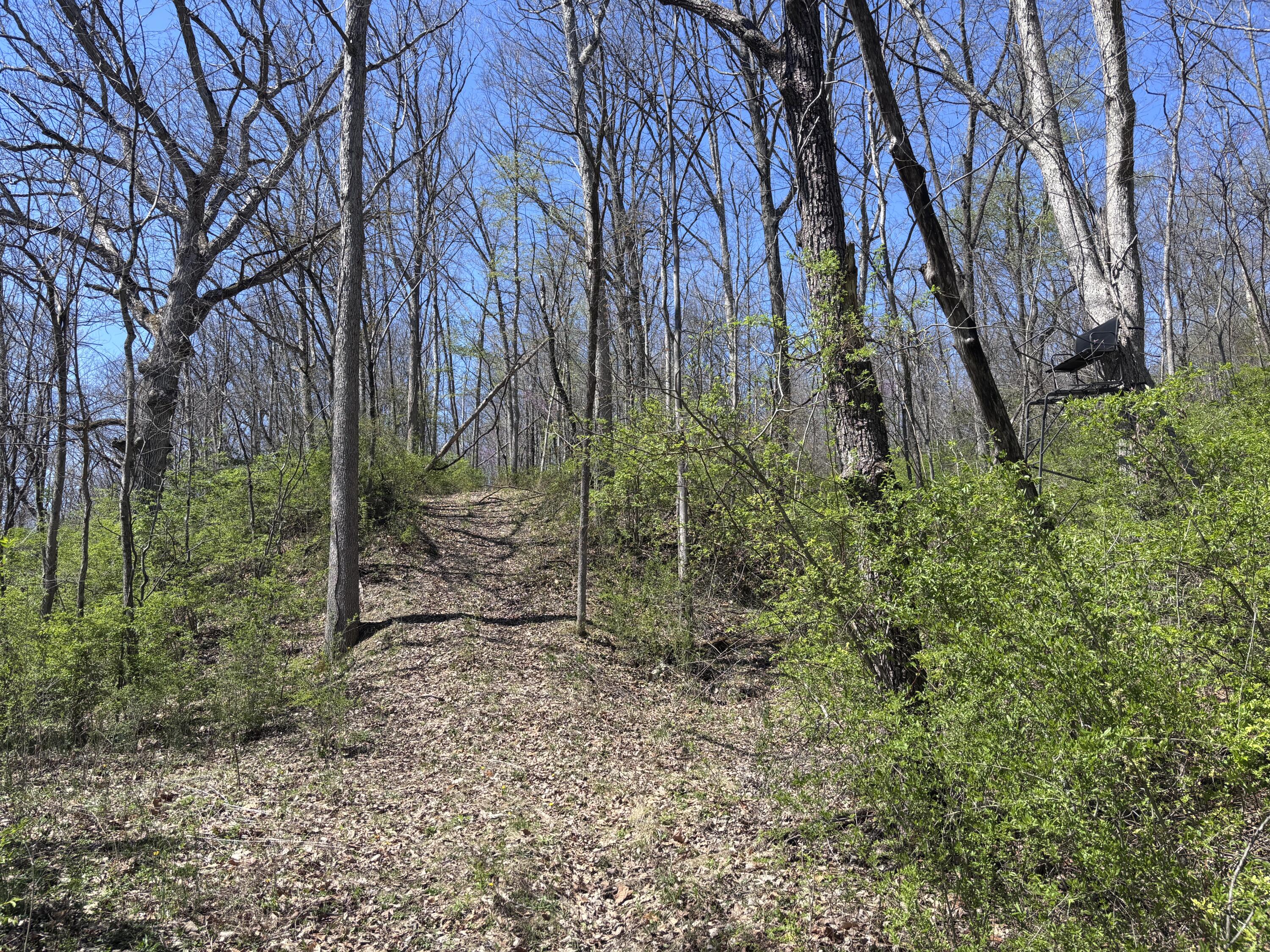 121 State, New Paris, Ohio 45347