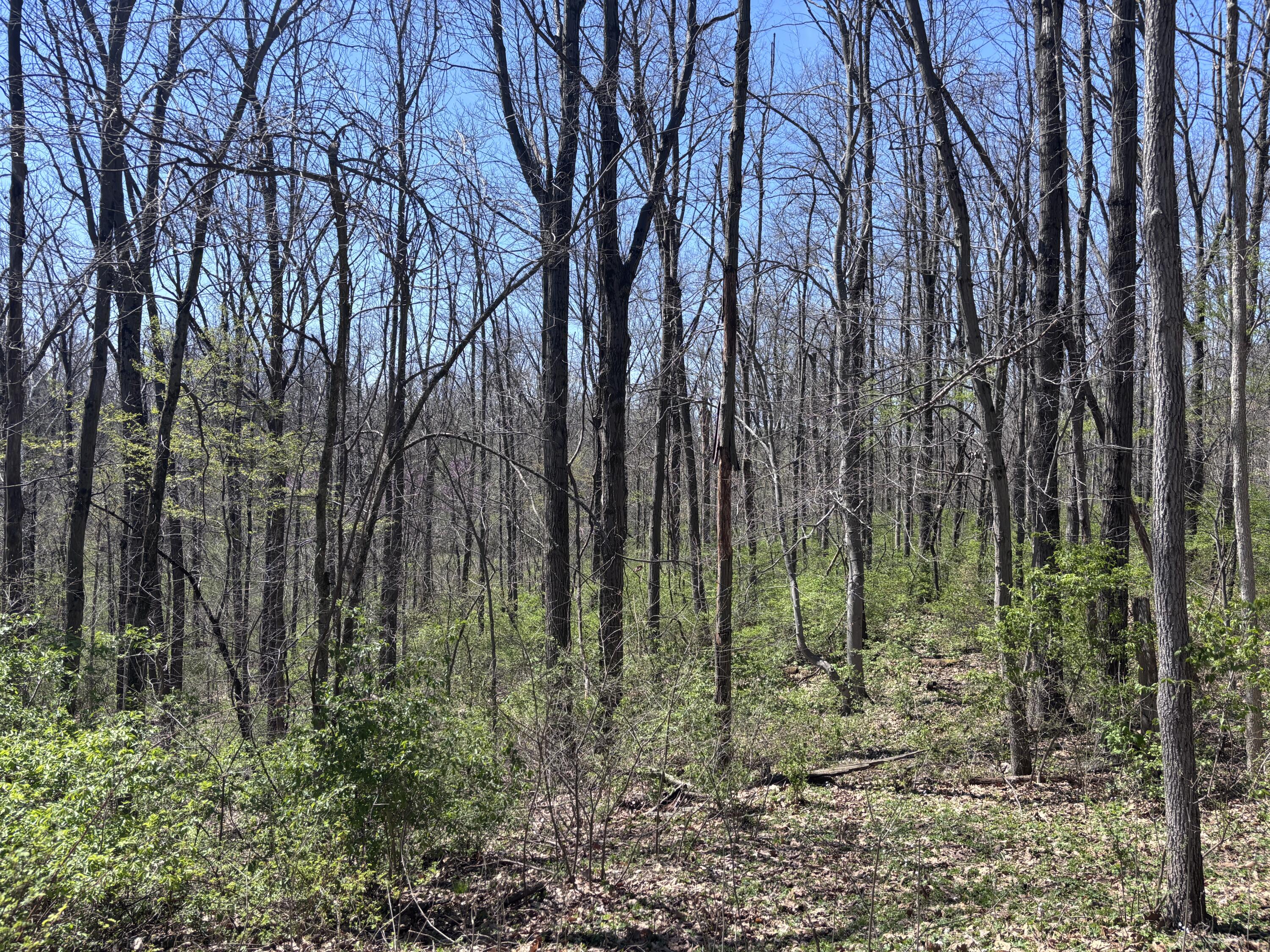 121 State, New Paris, Ohio 45347