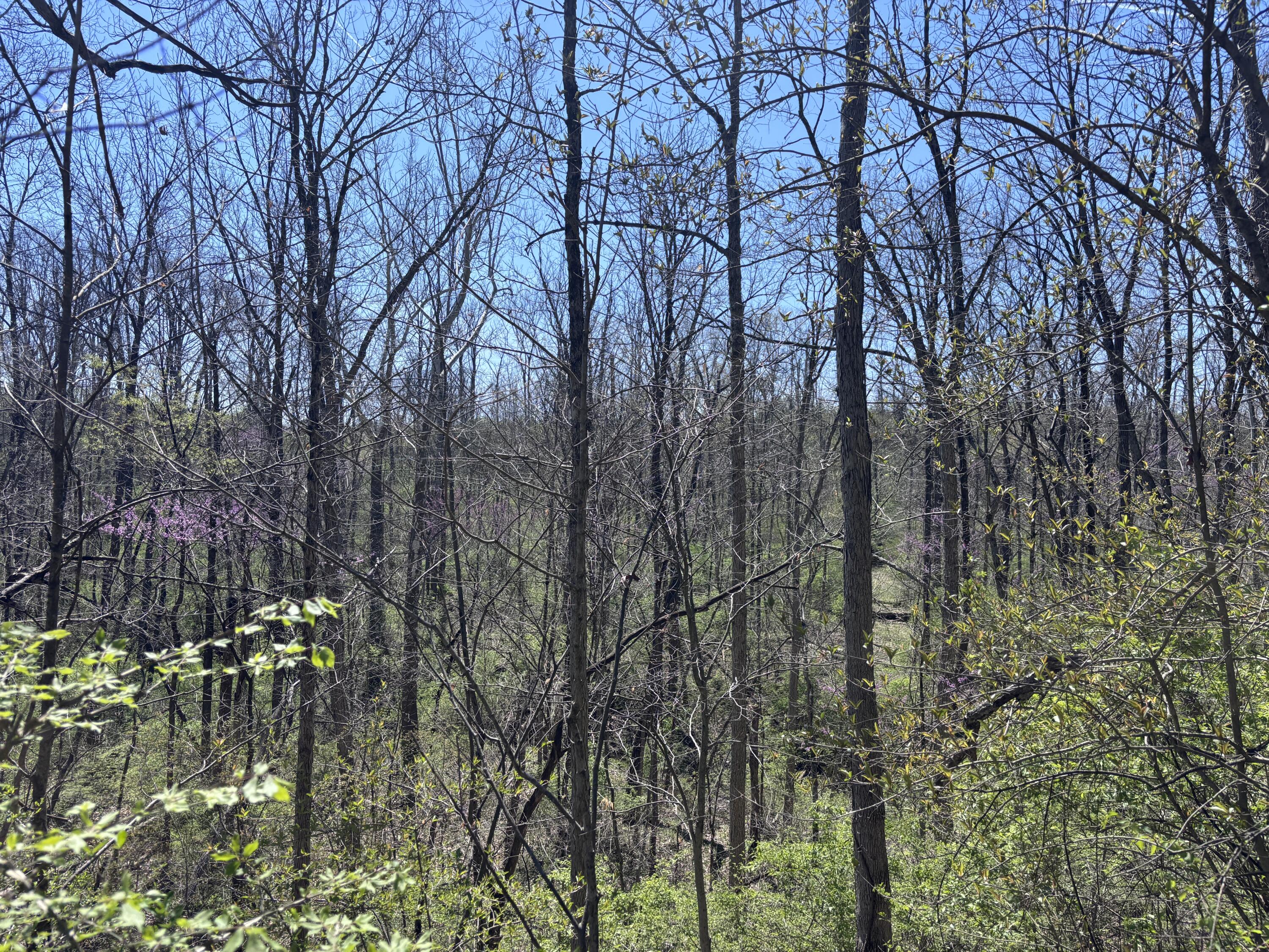 121 State, New Paris, Ohio 45347