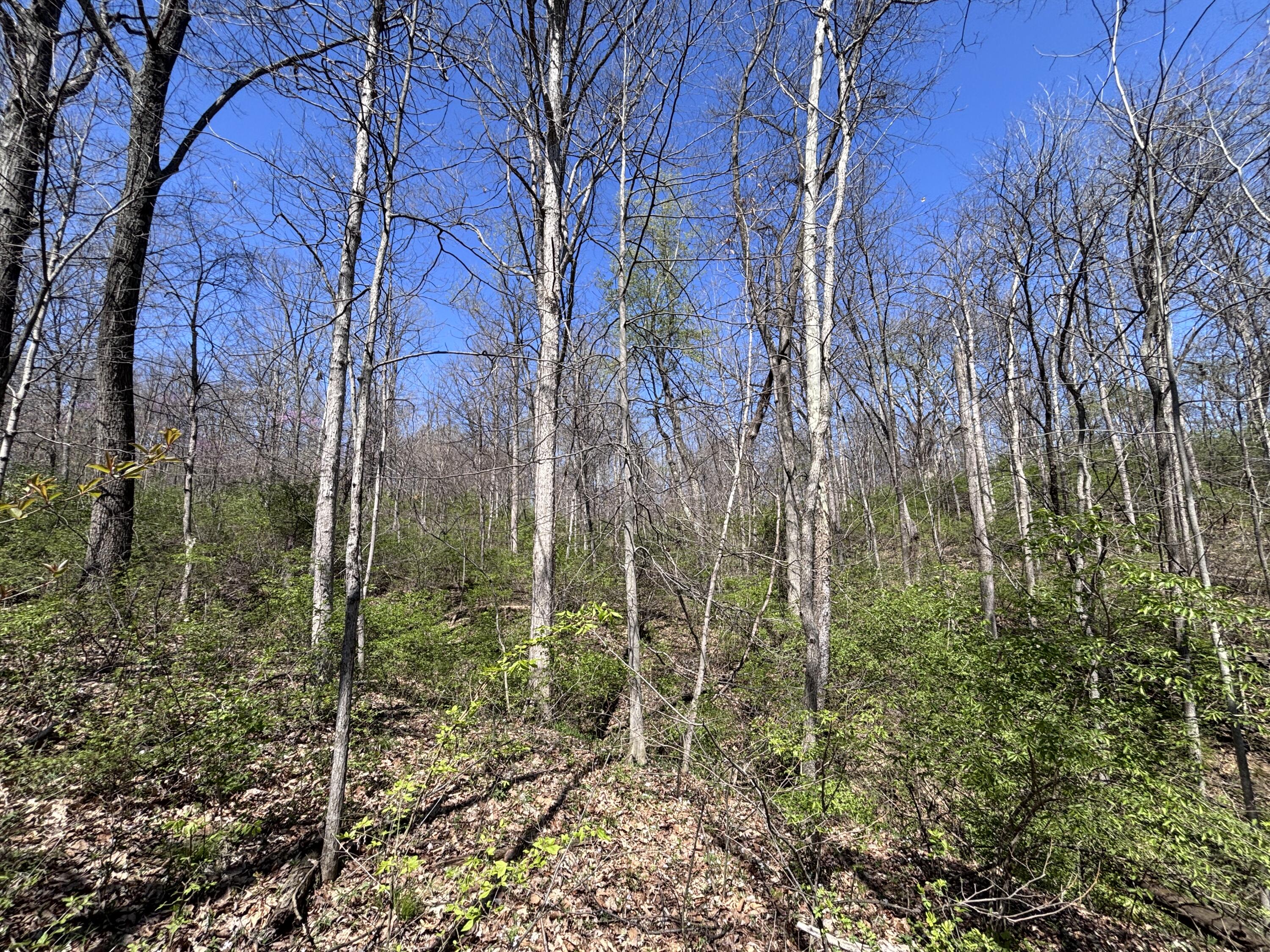 121 State, New Paris, Ohio 45347