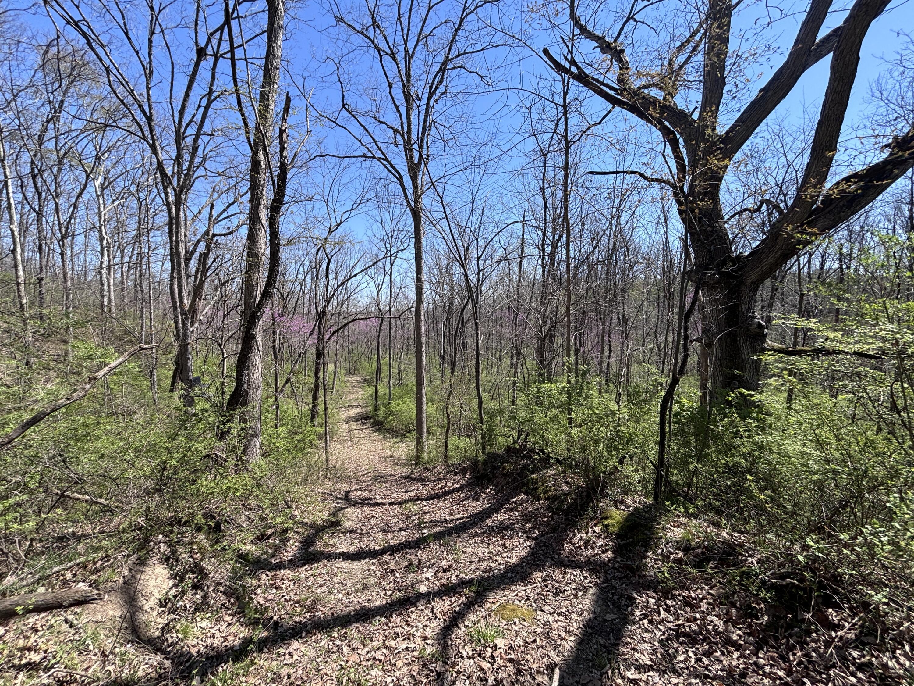 121 State, New Paris, Ohio 45347