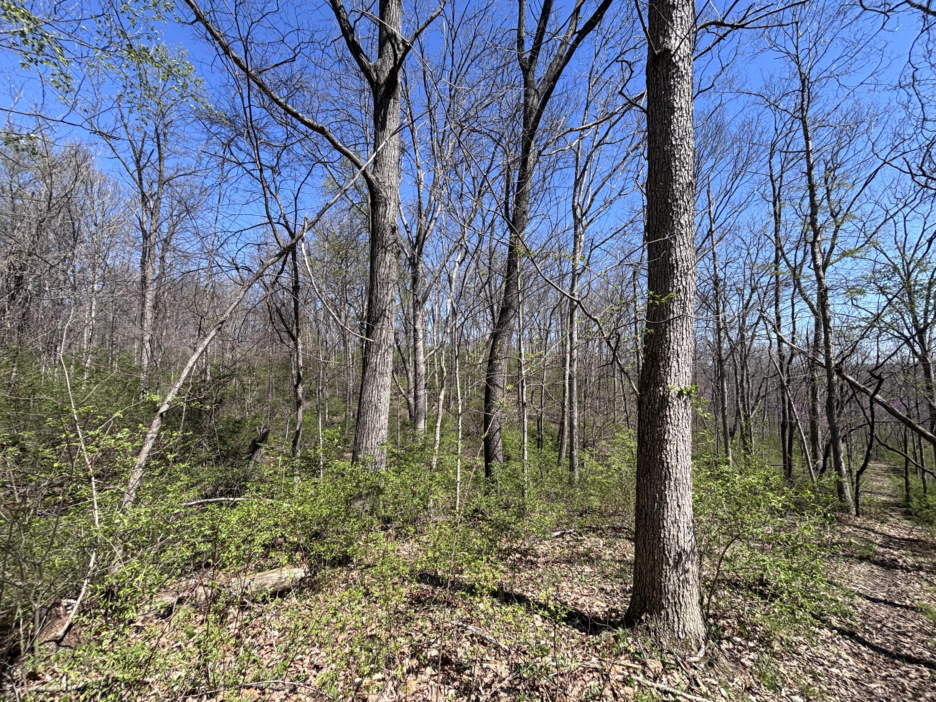 121 State, New Paris, Ohio 45347