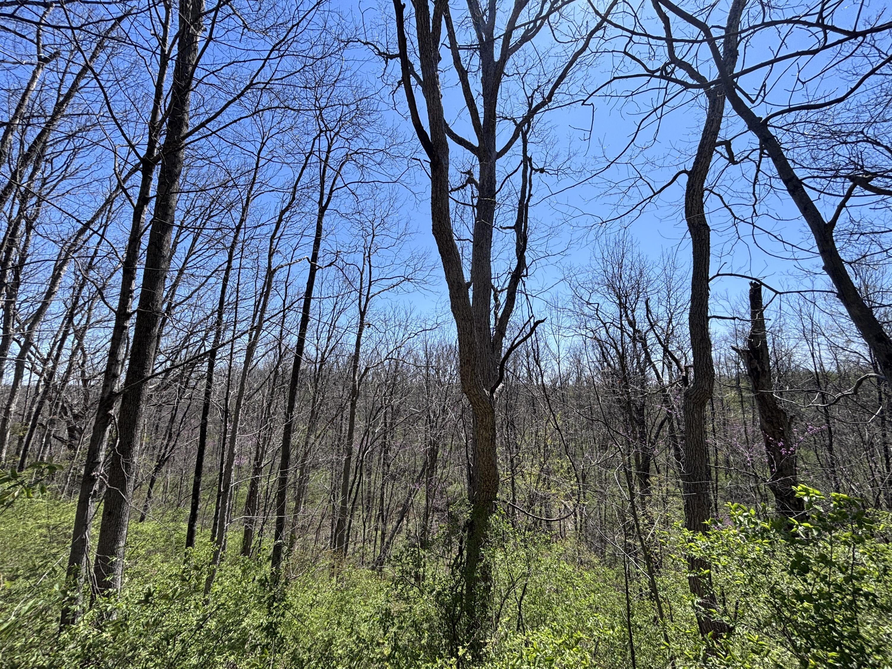 121 State, New Paris, Ohio 45347