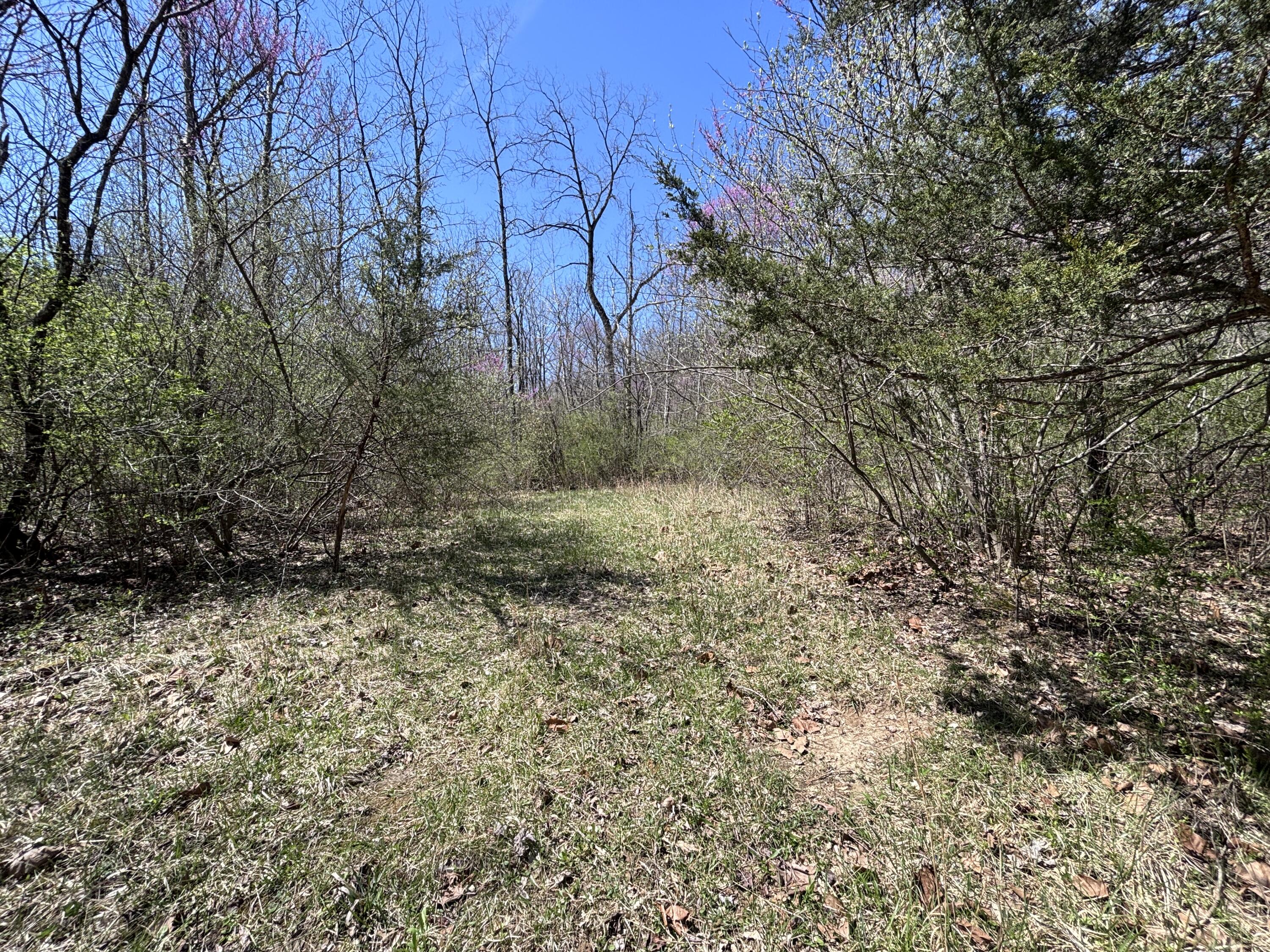 121 State, New Paris, Ohio 45347