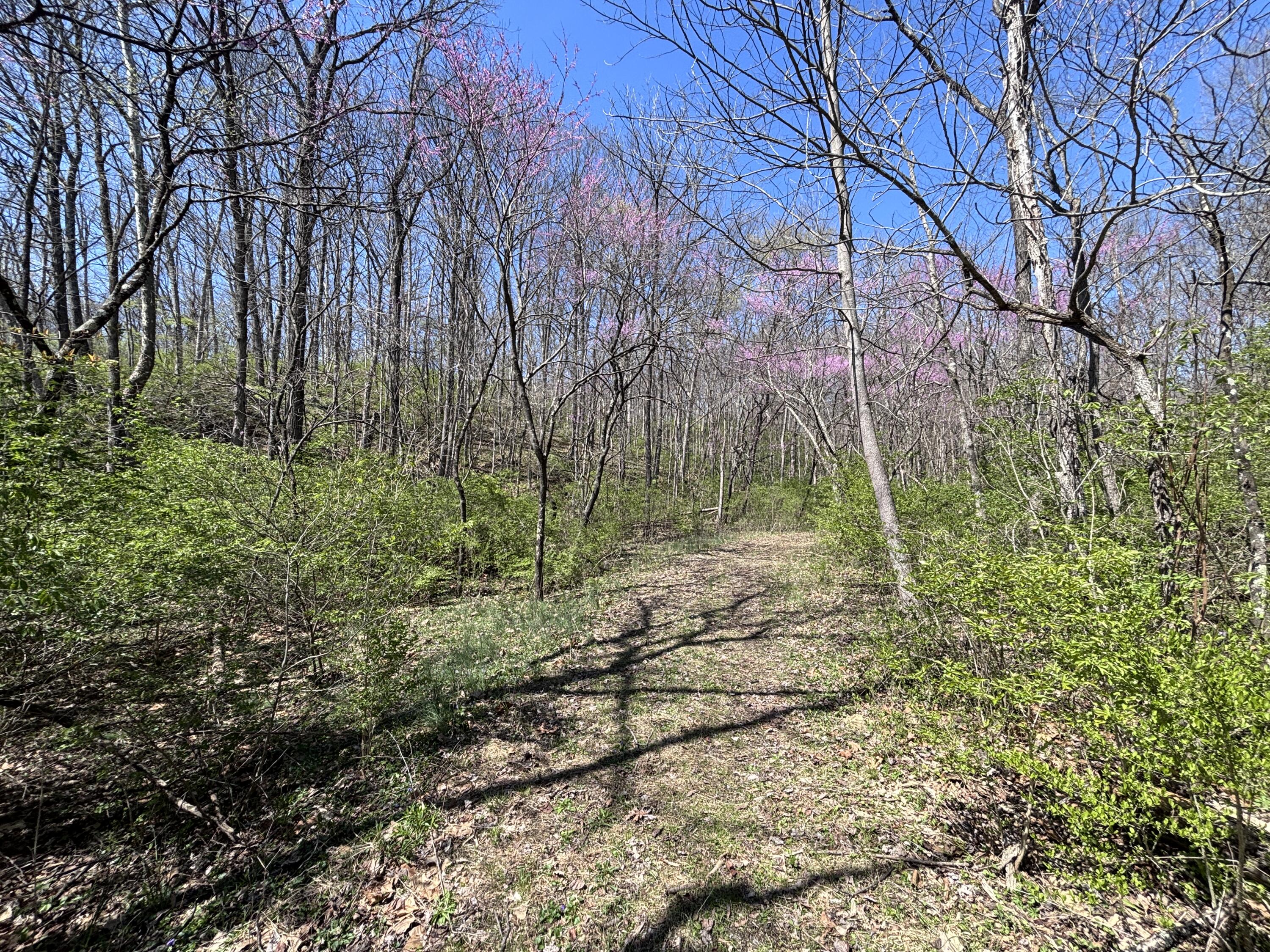 121 State, New Paris, Ohio 45347