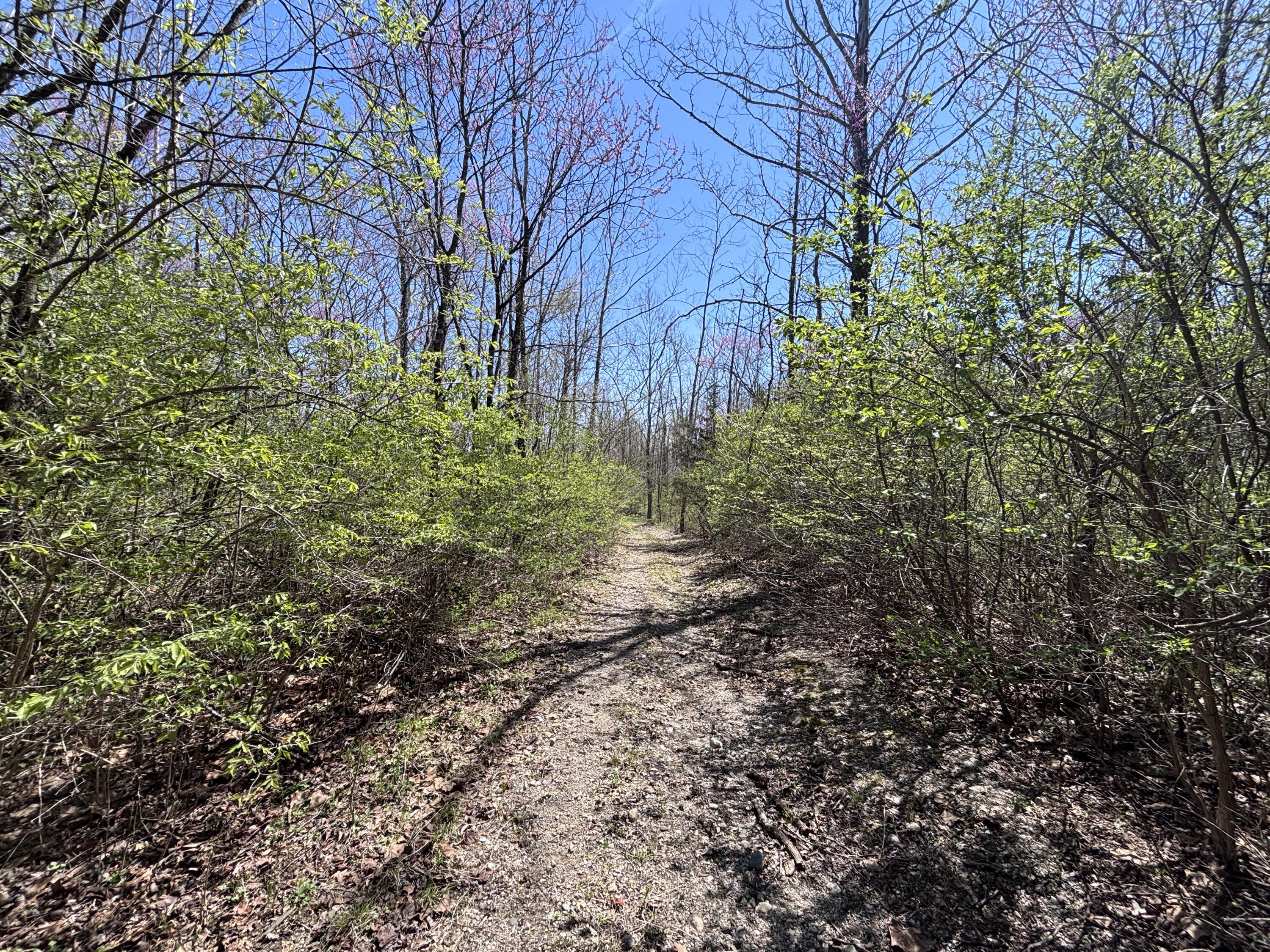 121 State, New Paris, Ohio 45347