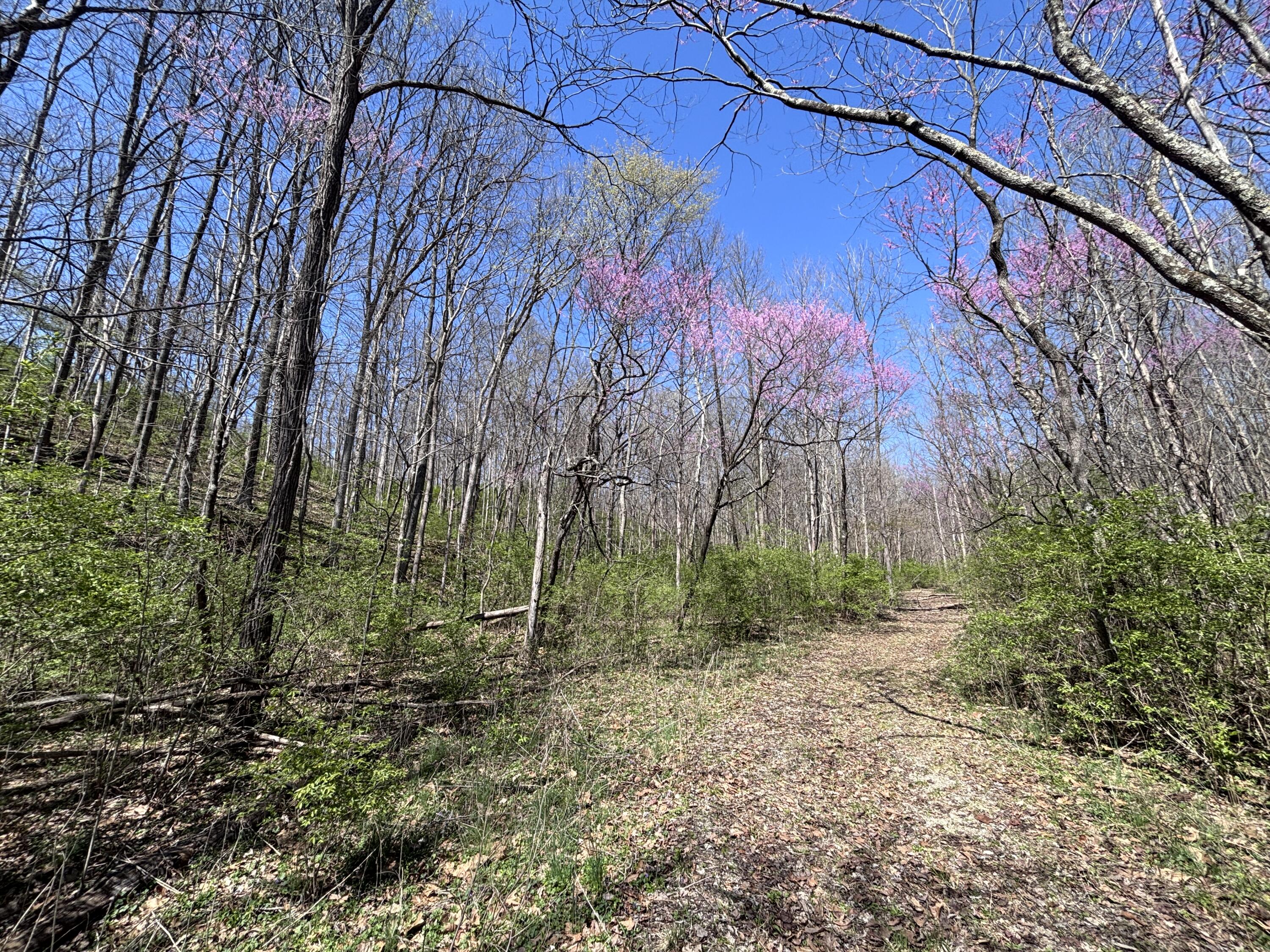 121 State, New Paris, Ohio 45347